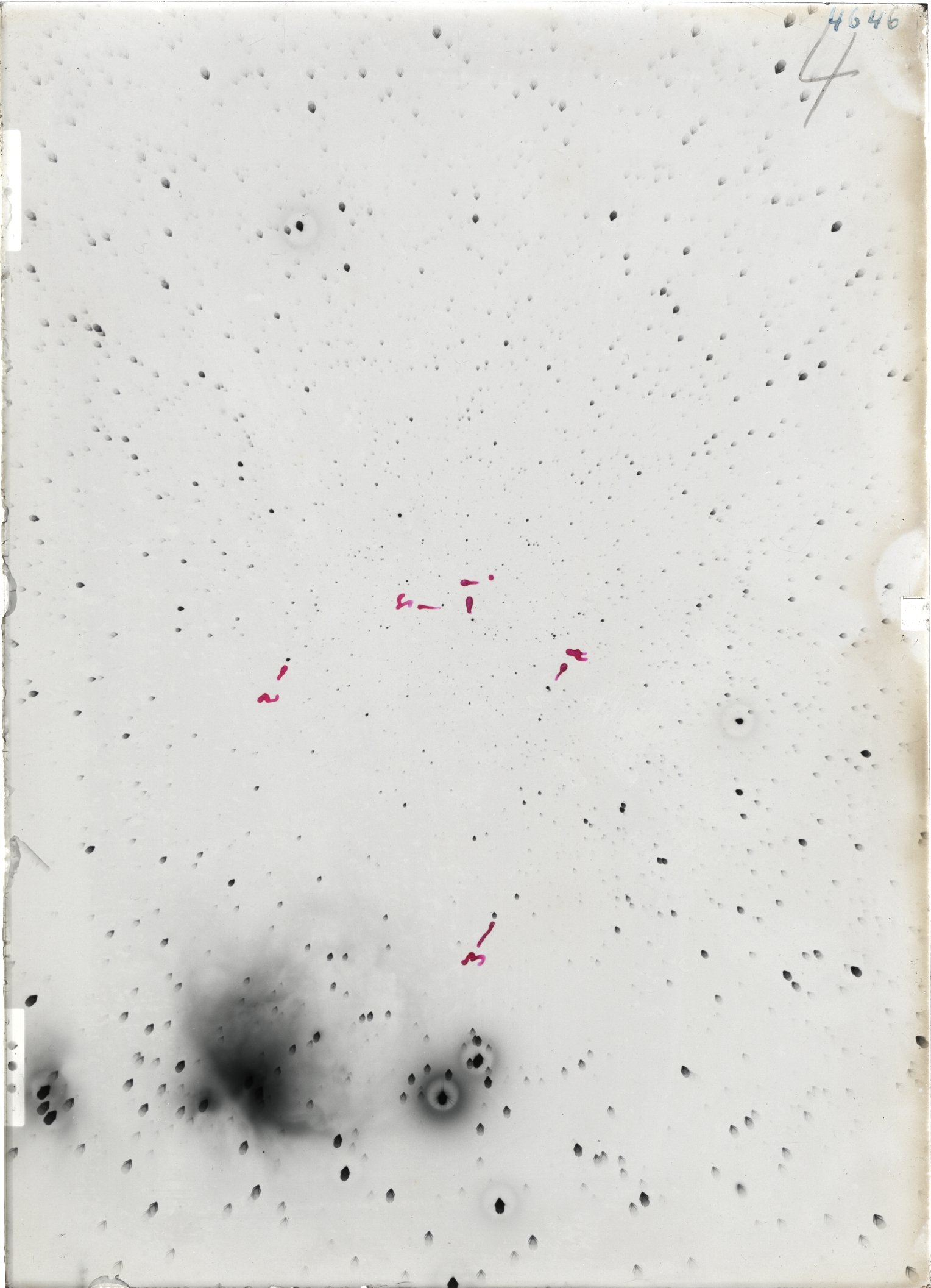 Scan ST04646