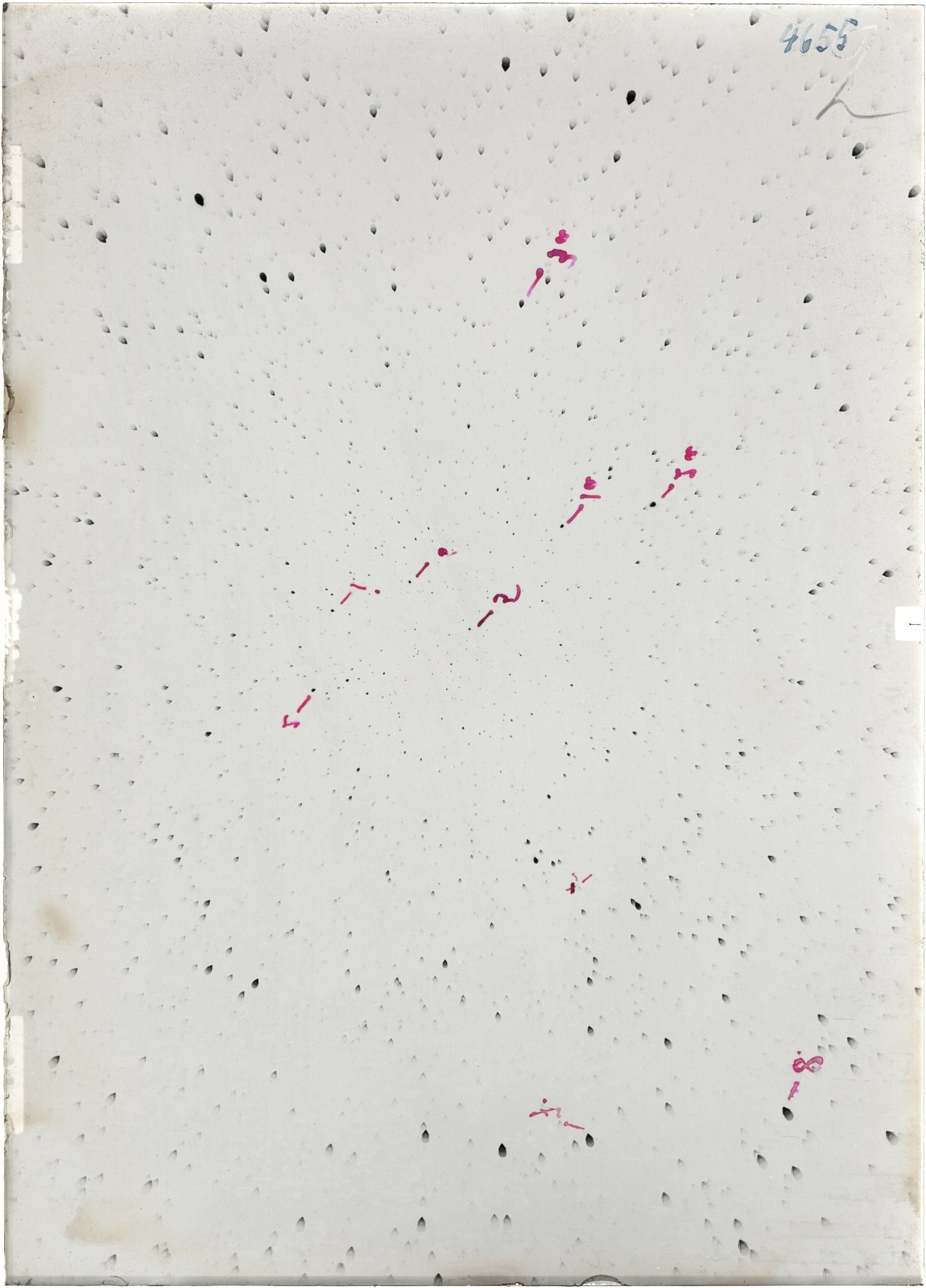 Scan ST04655