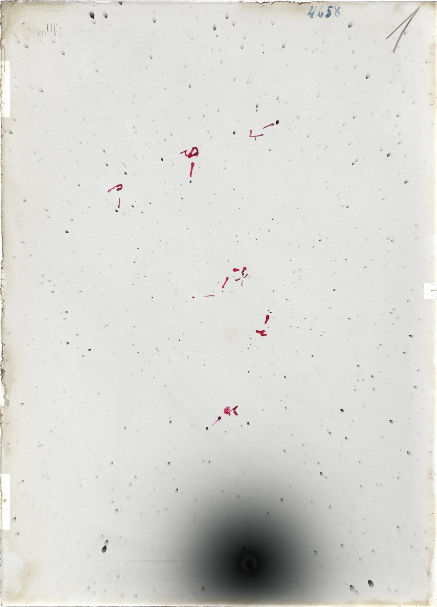 Scan ST04658