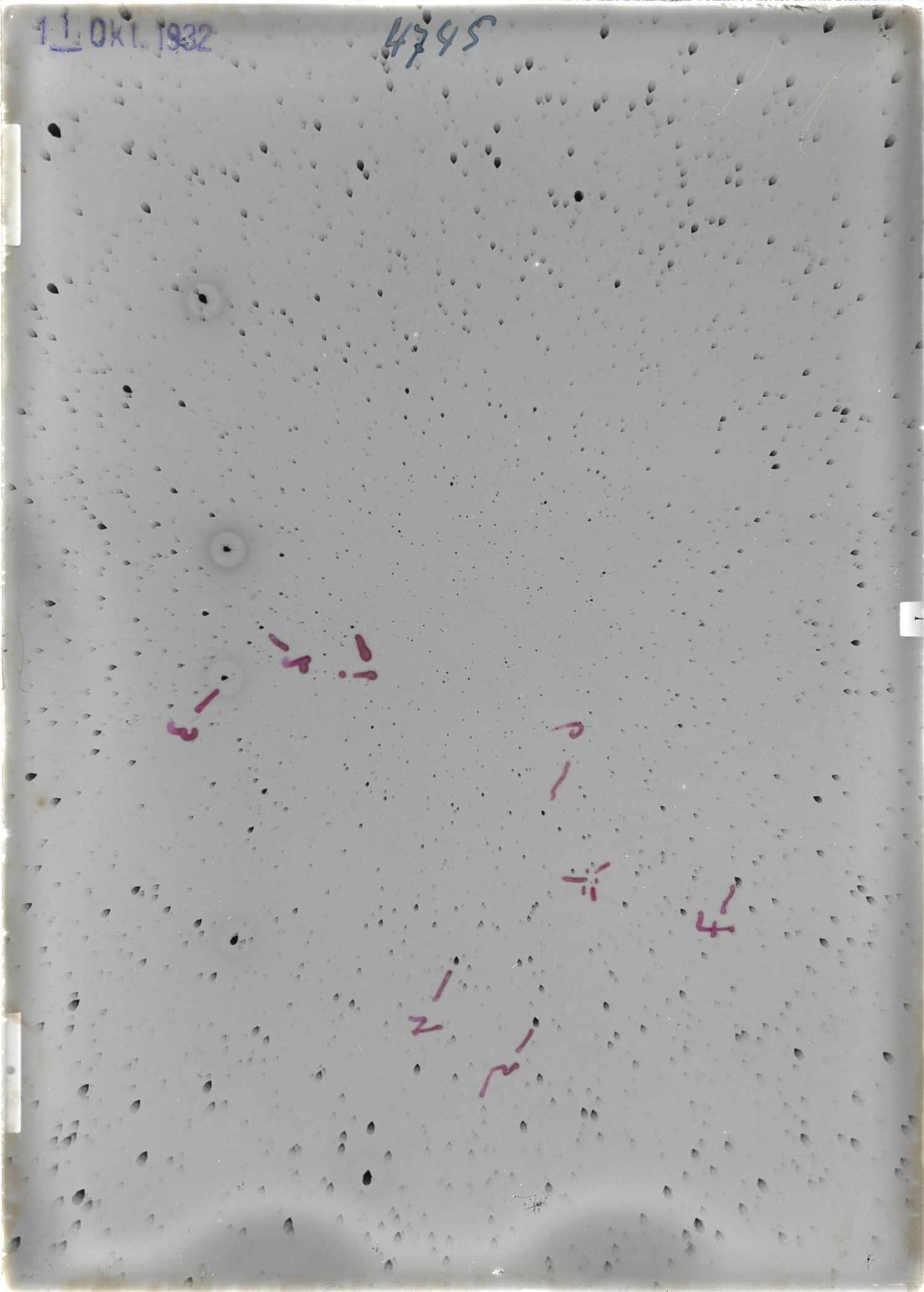 Scan ST04745