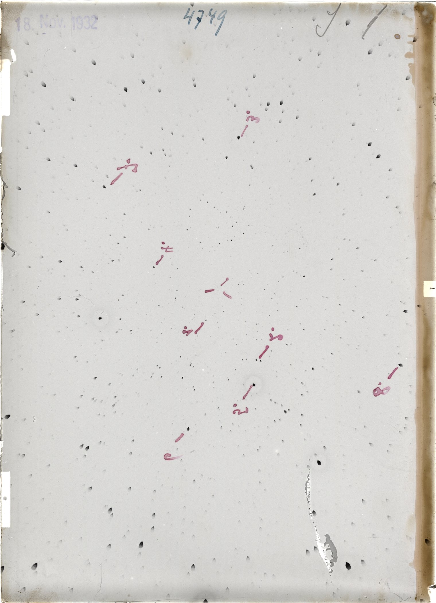 Scan ST04749