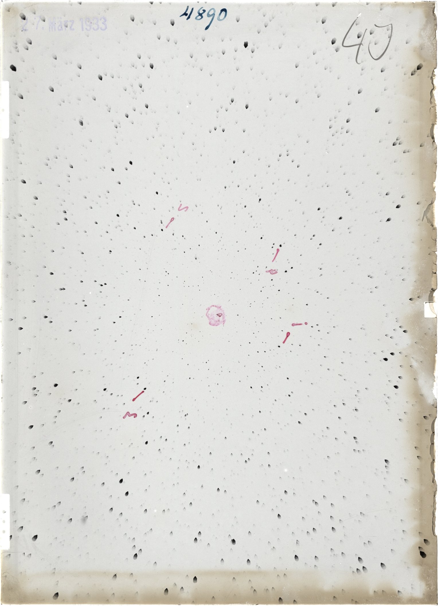 Scan ST04890