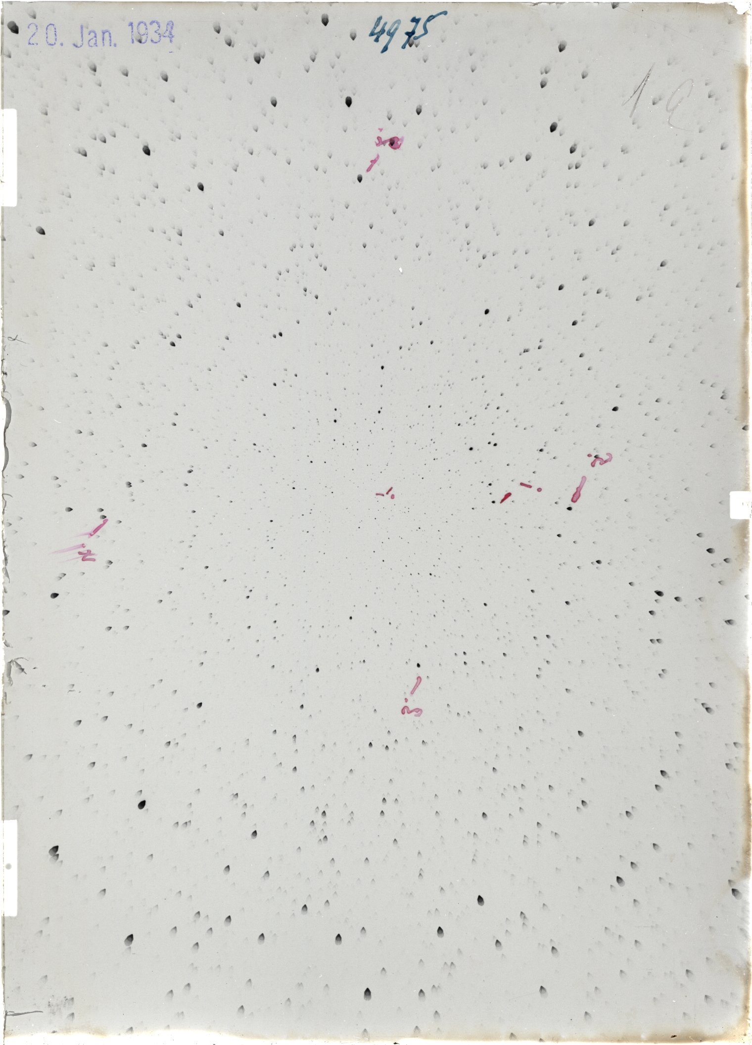 Scan ST04975