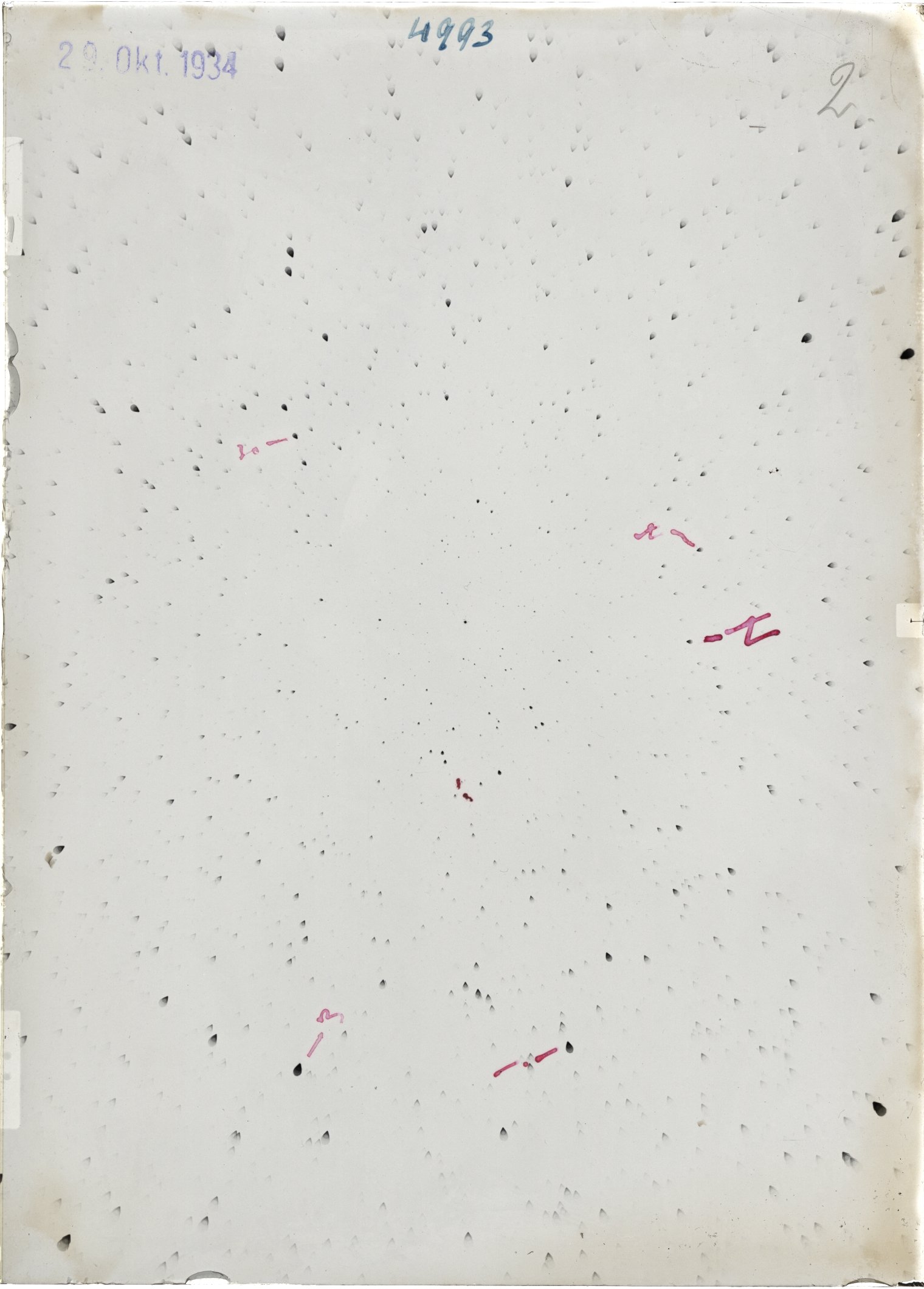 Scan ST04993