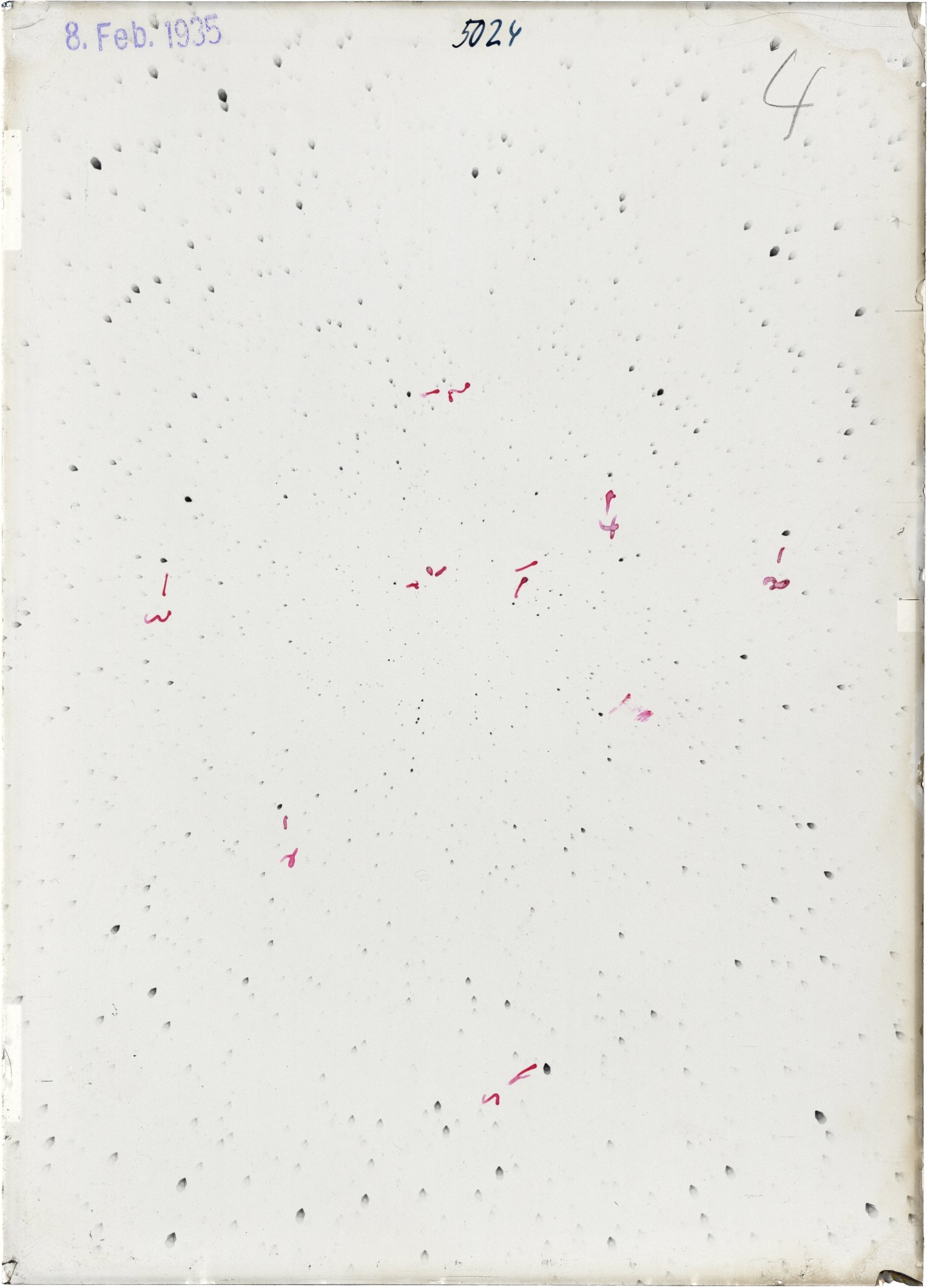 Scan ST05024