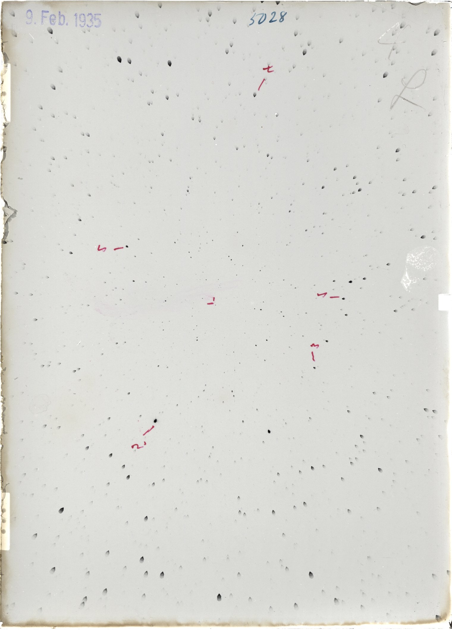 Scan ST05028