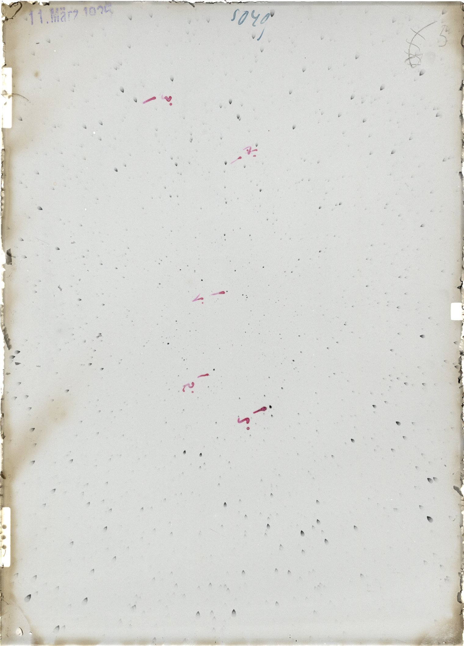 Scan ST05049