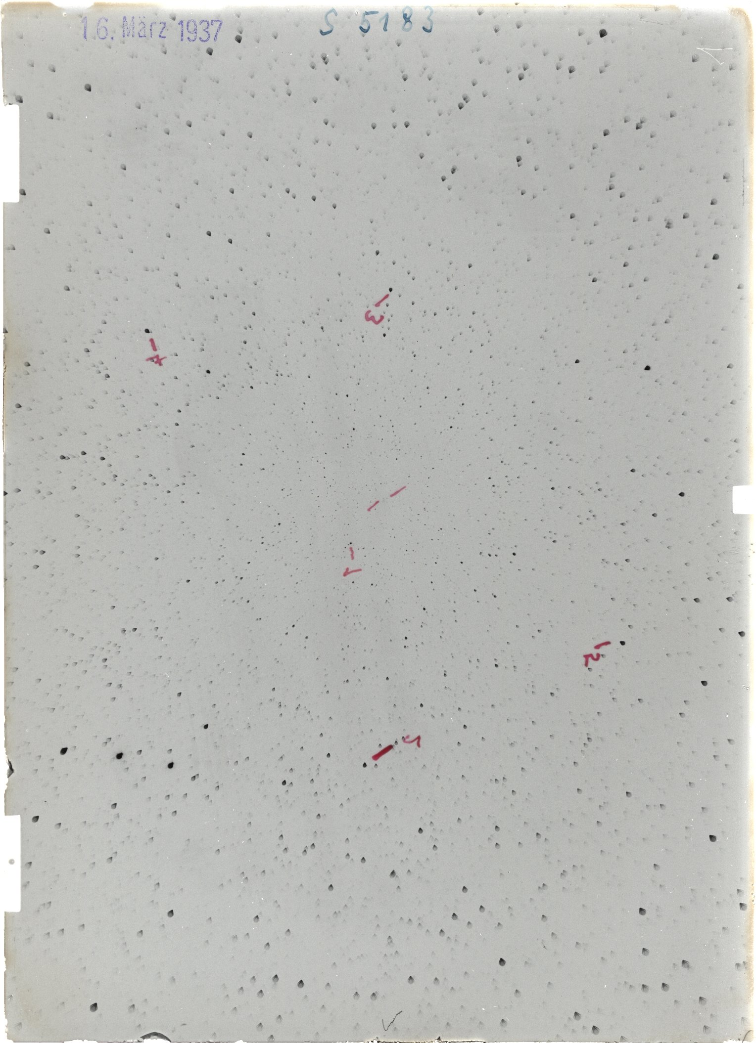 Scan ST05183