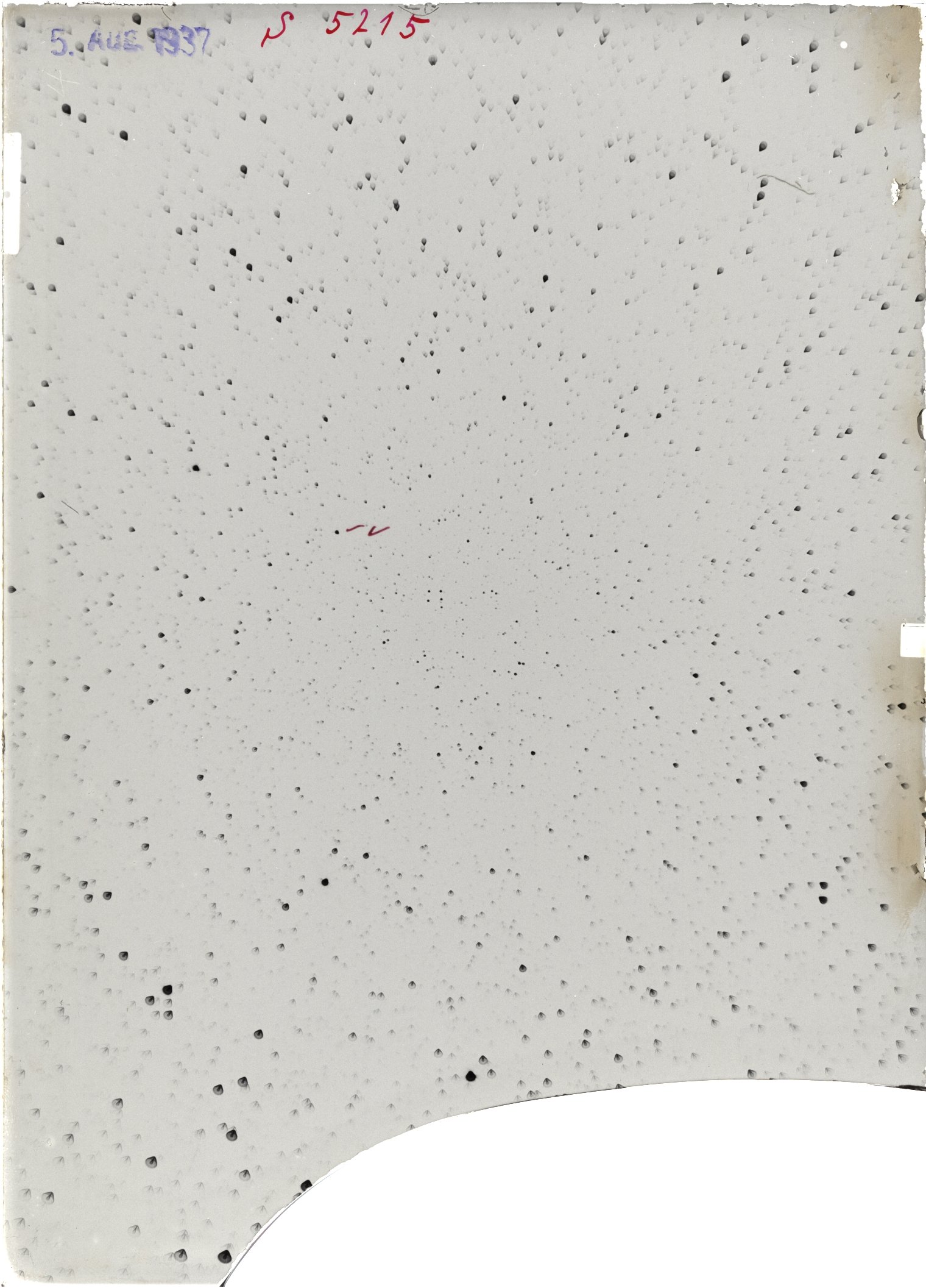Scan ST05215