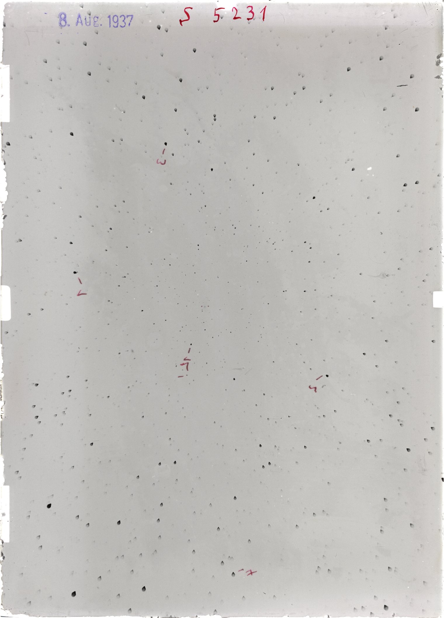 Scan ST05231