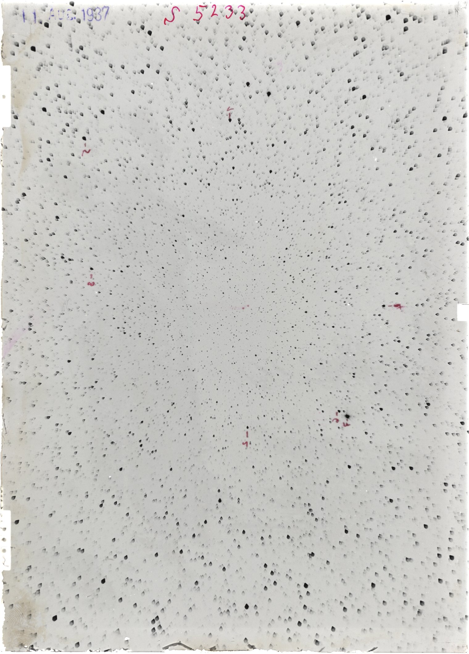 Scan ST05233
