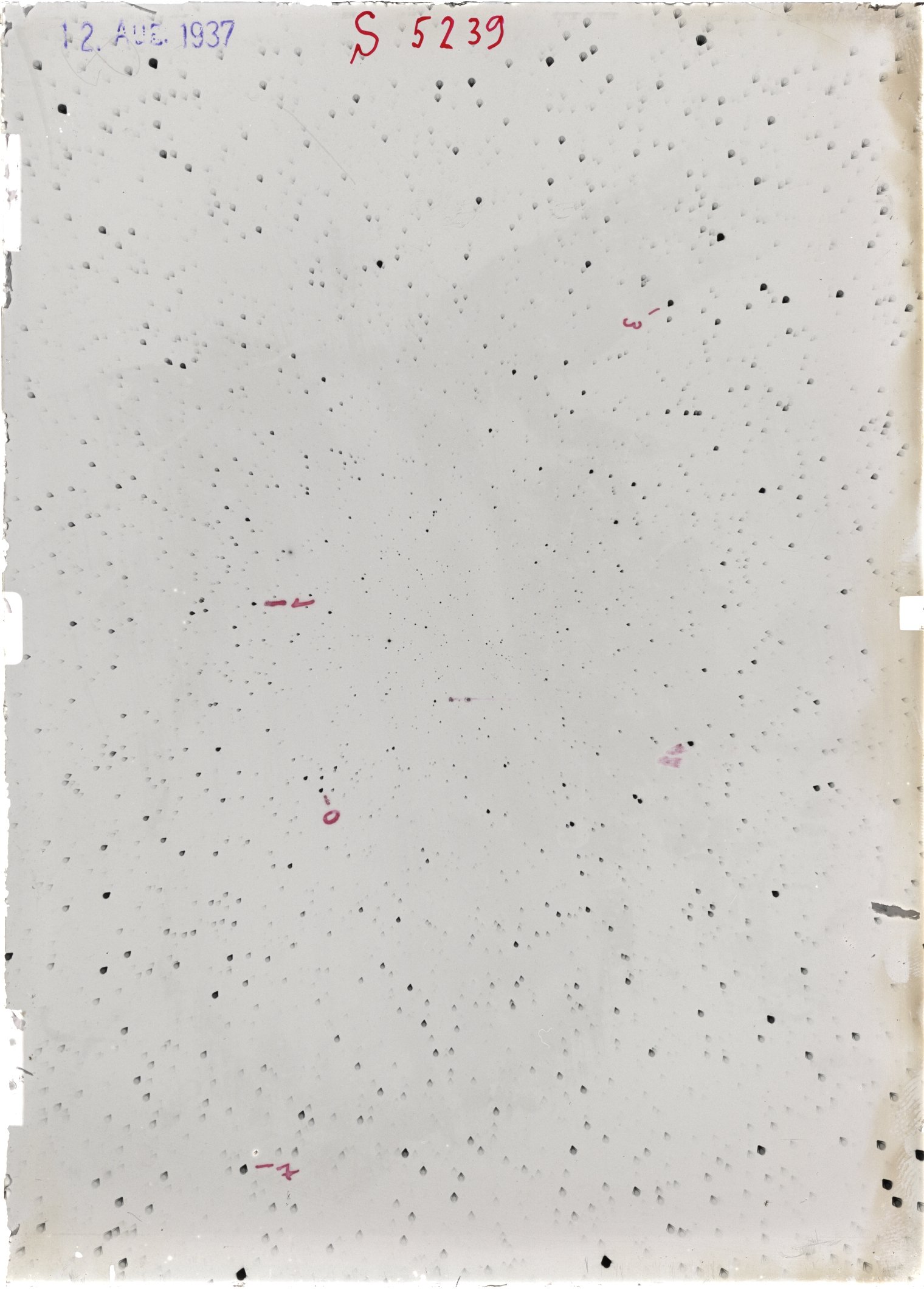 Scan ST05239