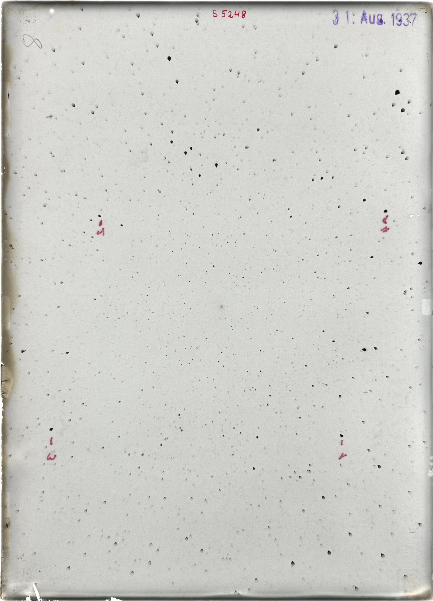 Scan ST05248