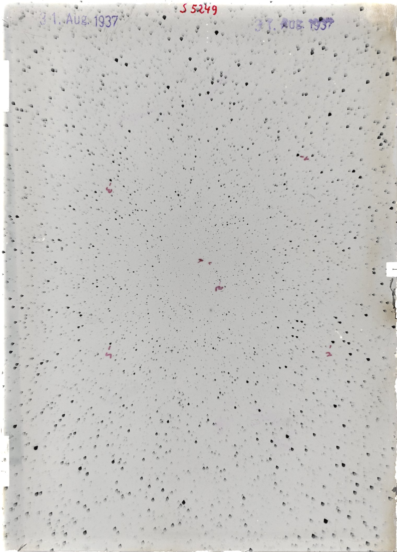 Scan ST05249