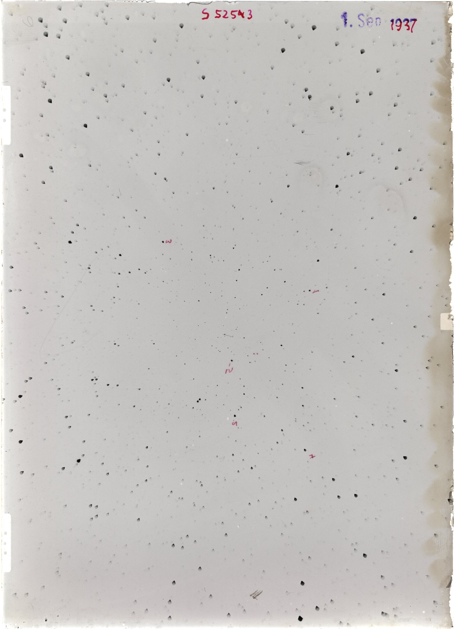 Scan ST05253
