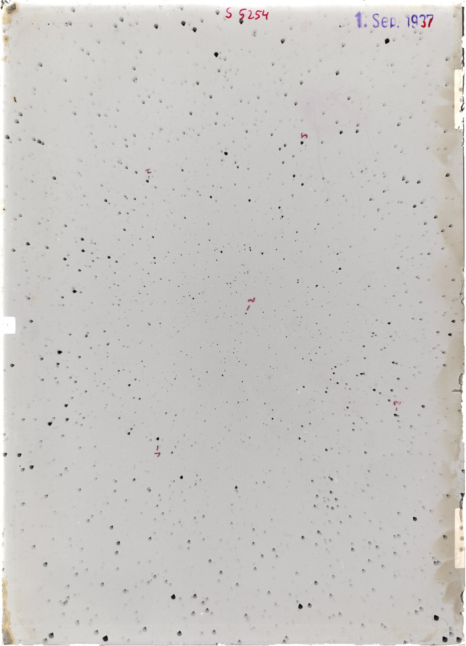 Scan ST05254
