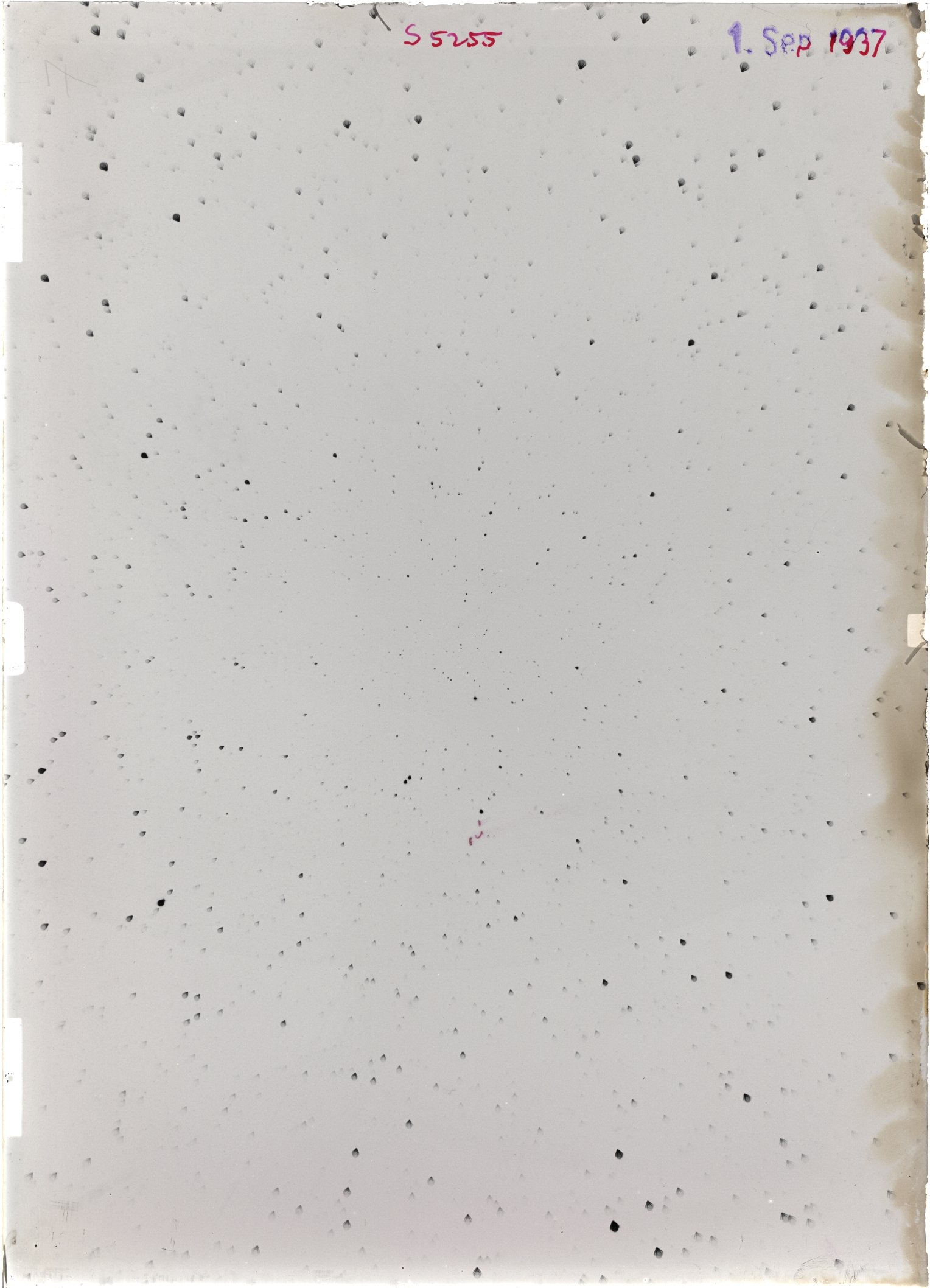 Scan ST05255