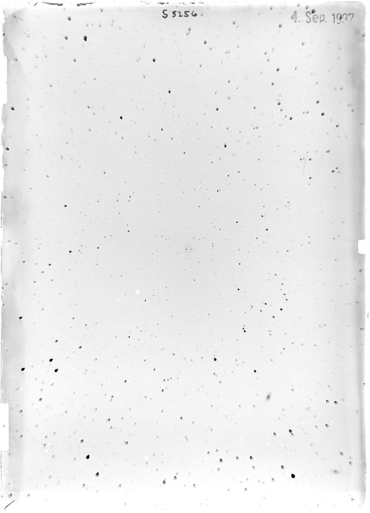 Scan ST05256