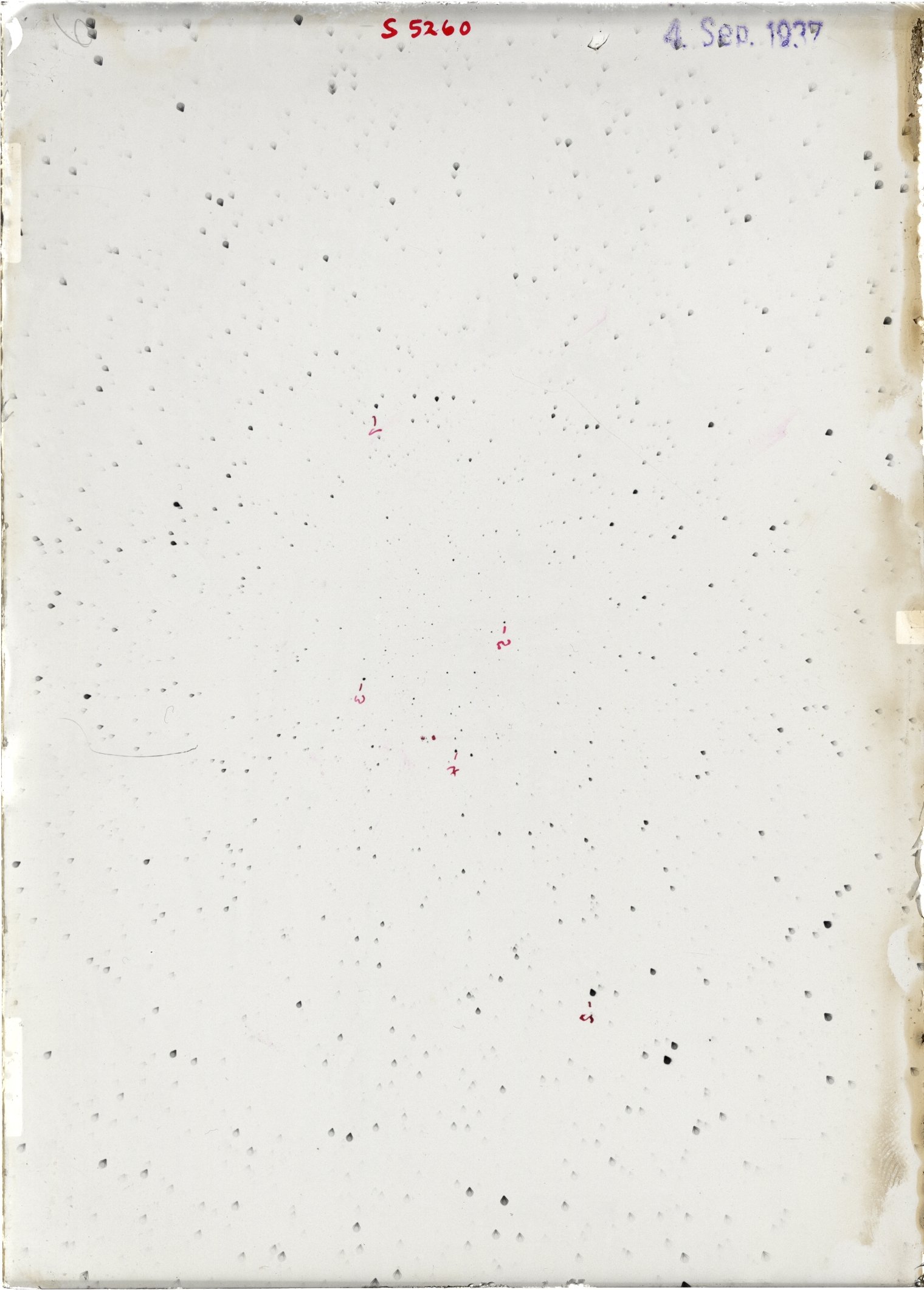 Scan ST05260