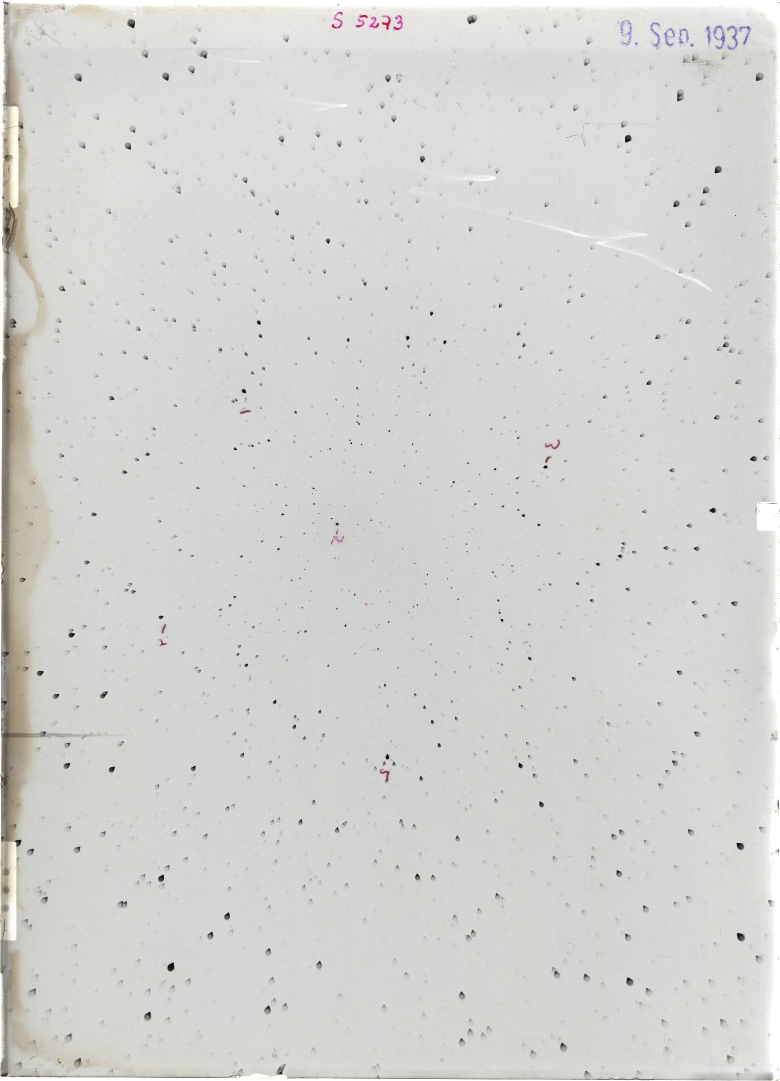 Scan ST05273