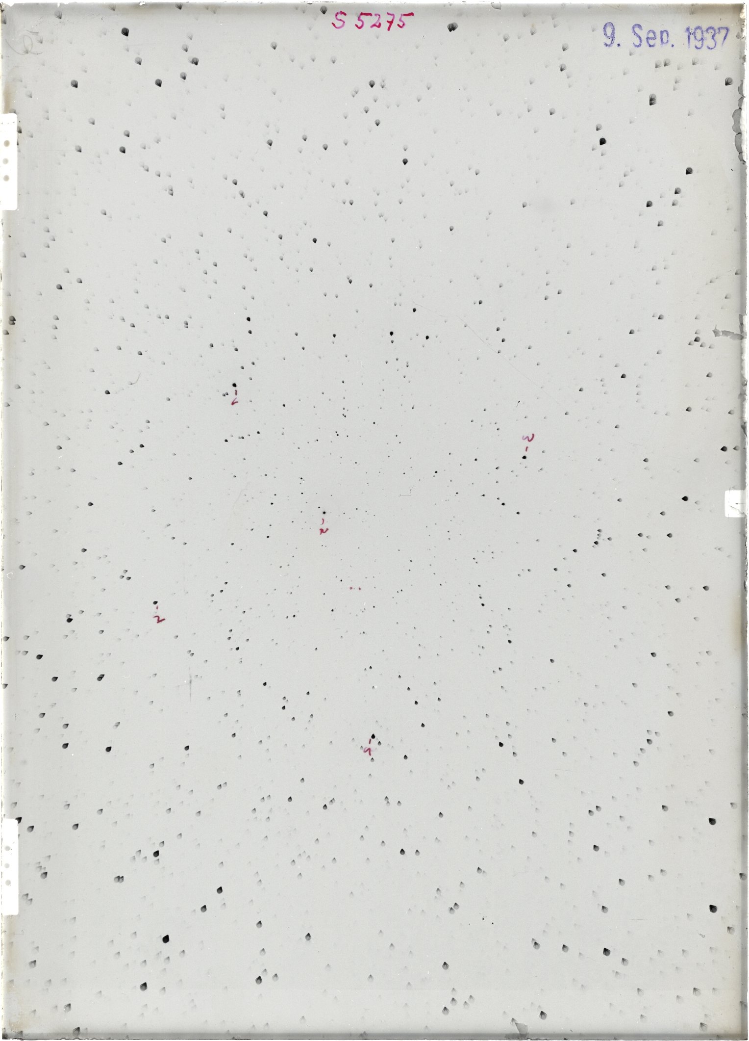 Scan ST05275