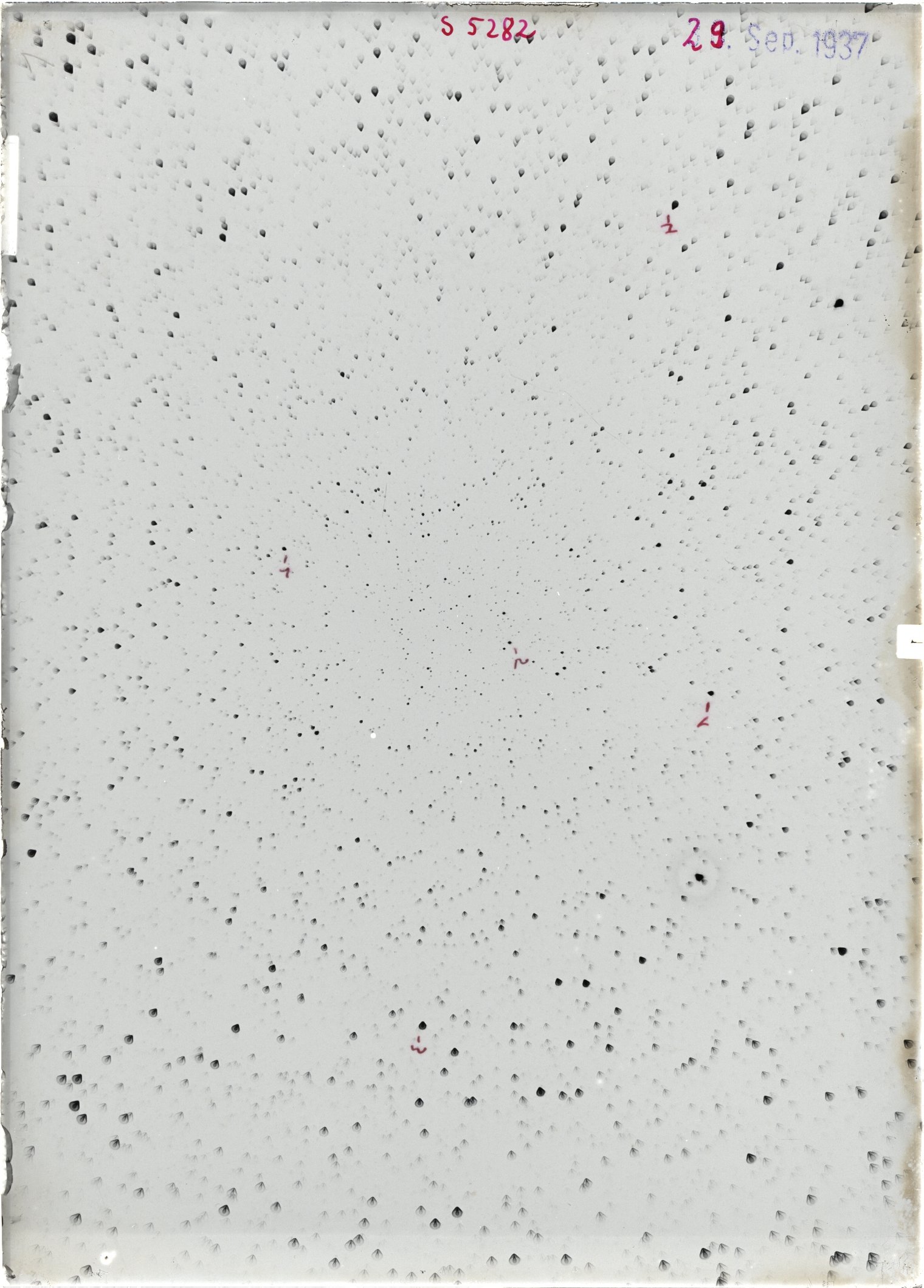 Scan ST05282