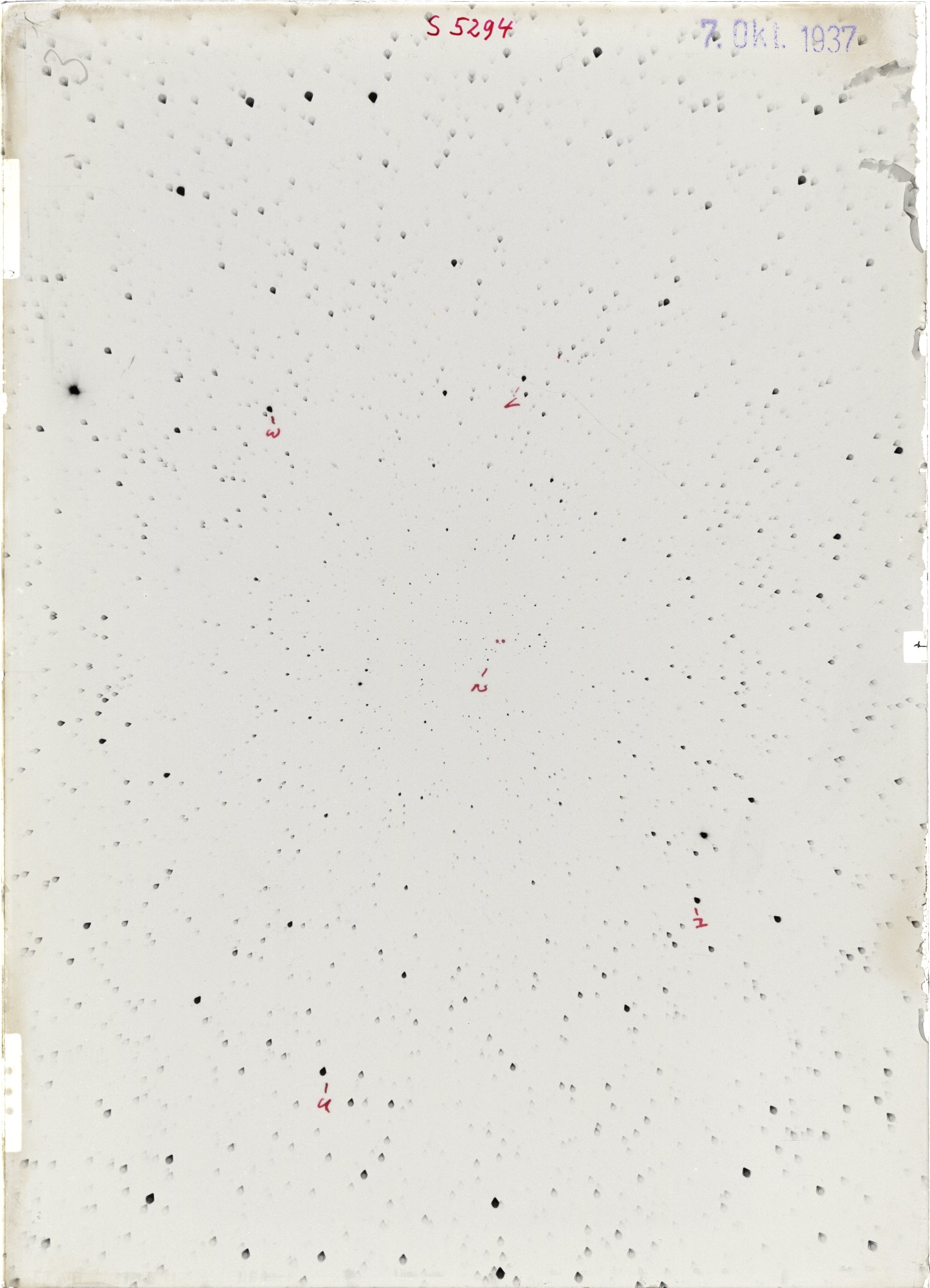 Scan ST05294