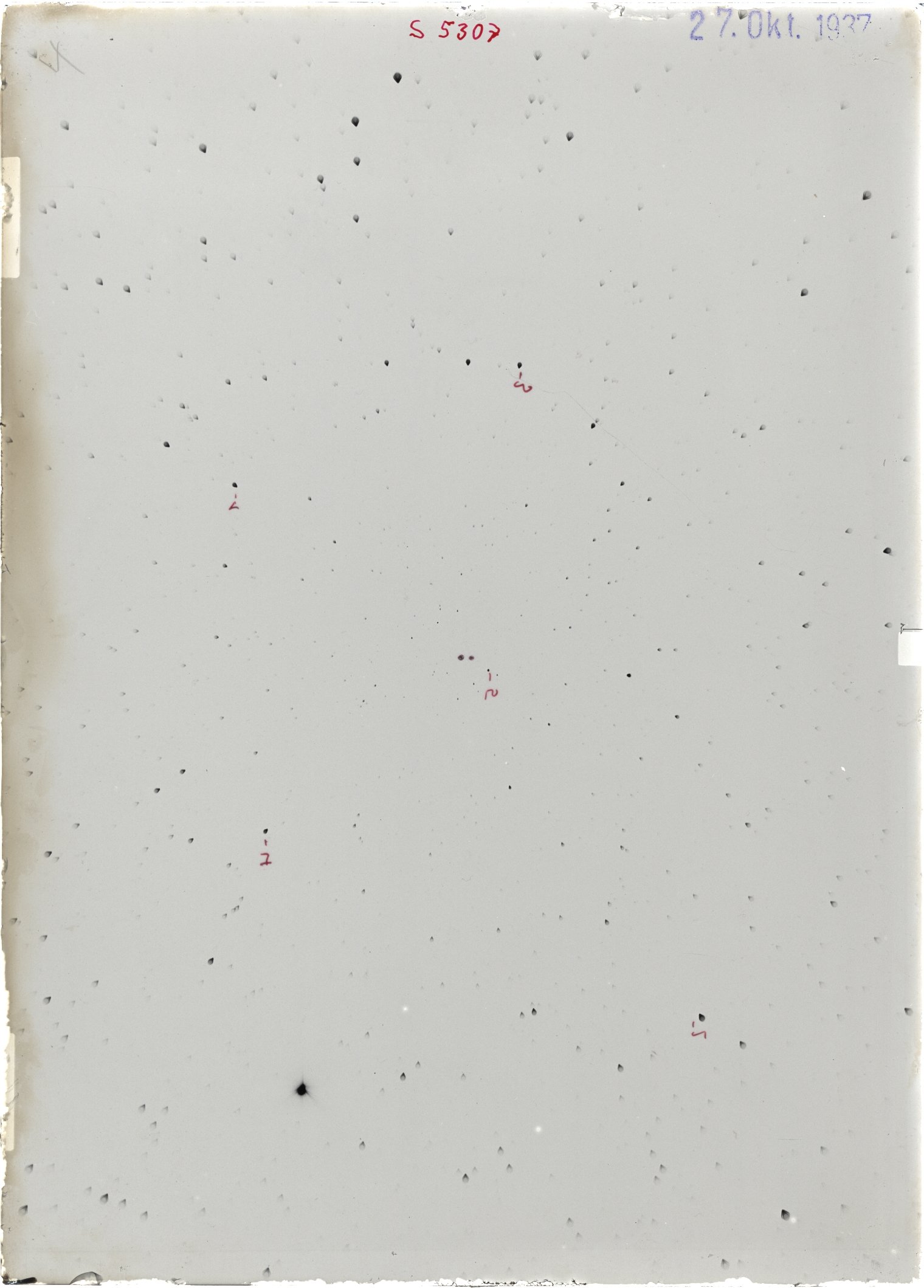 Scan ST05307