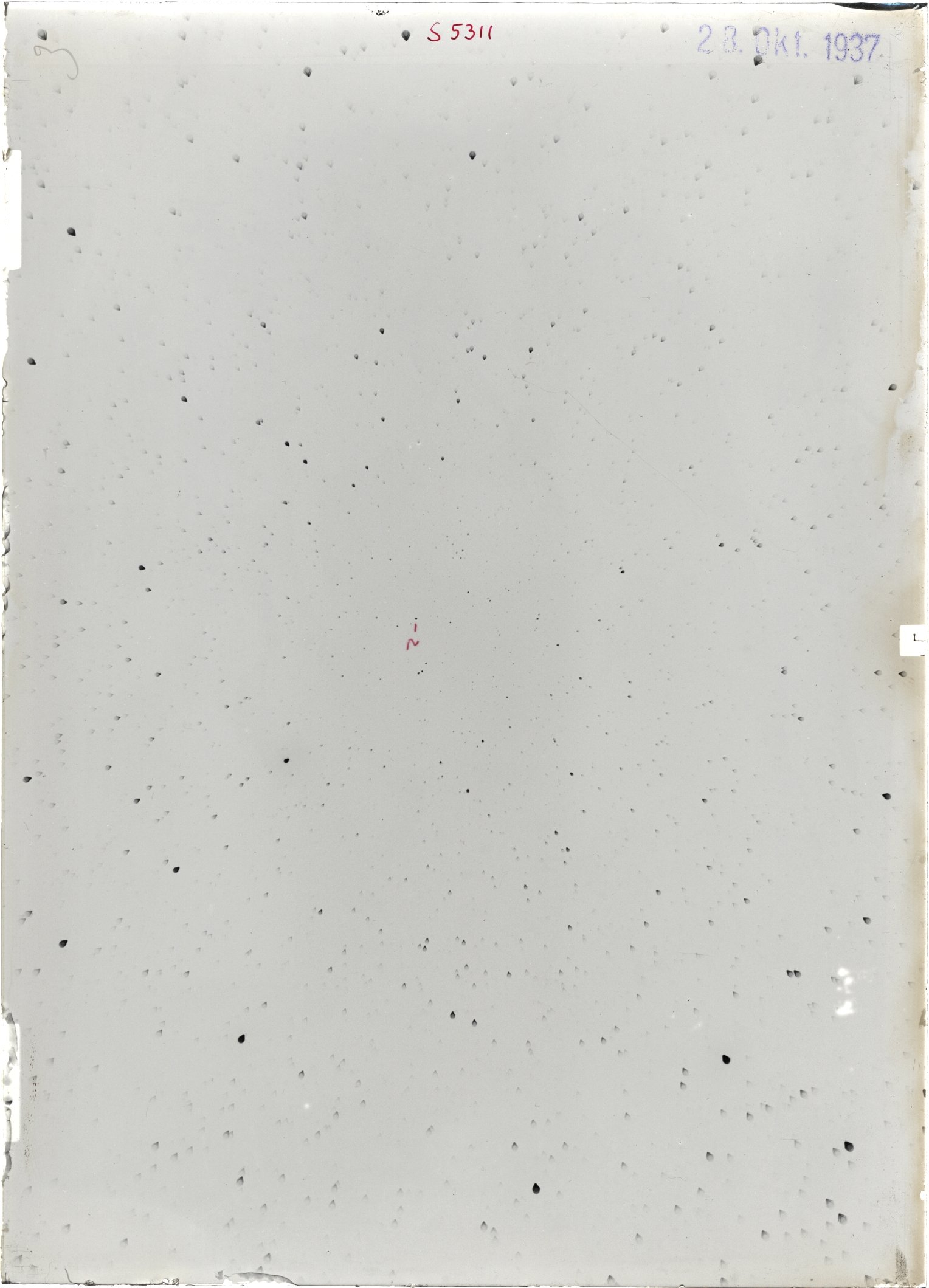 Scan ST05311