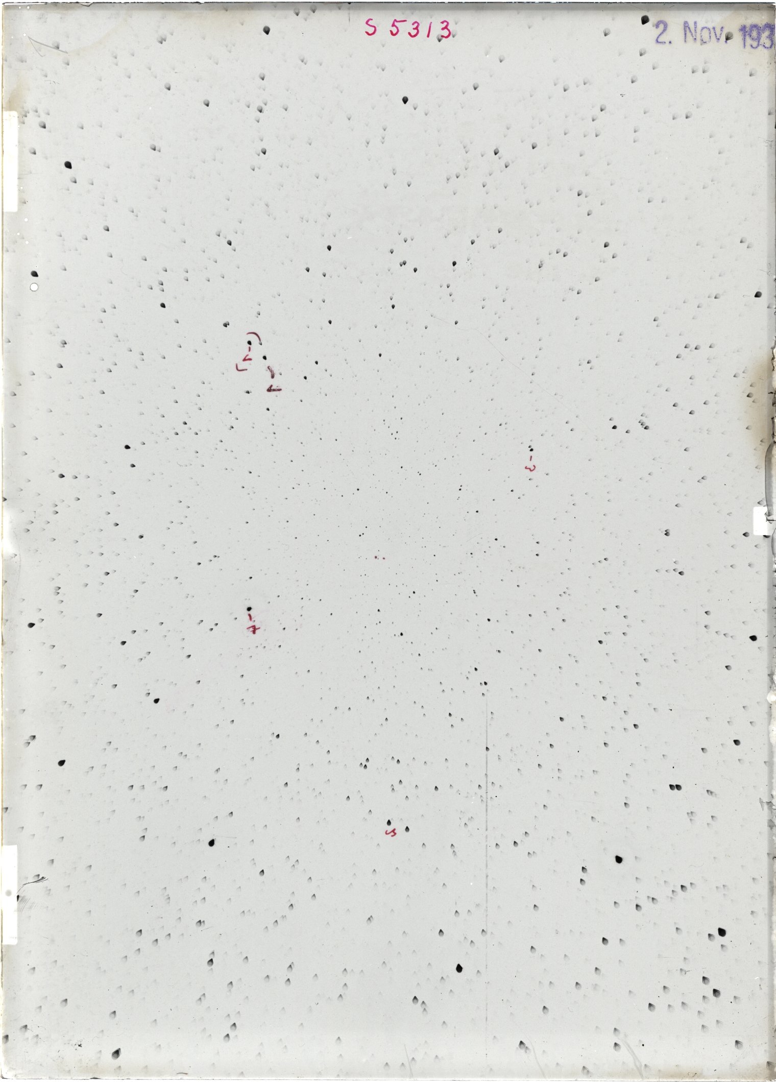 Scan ST05313