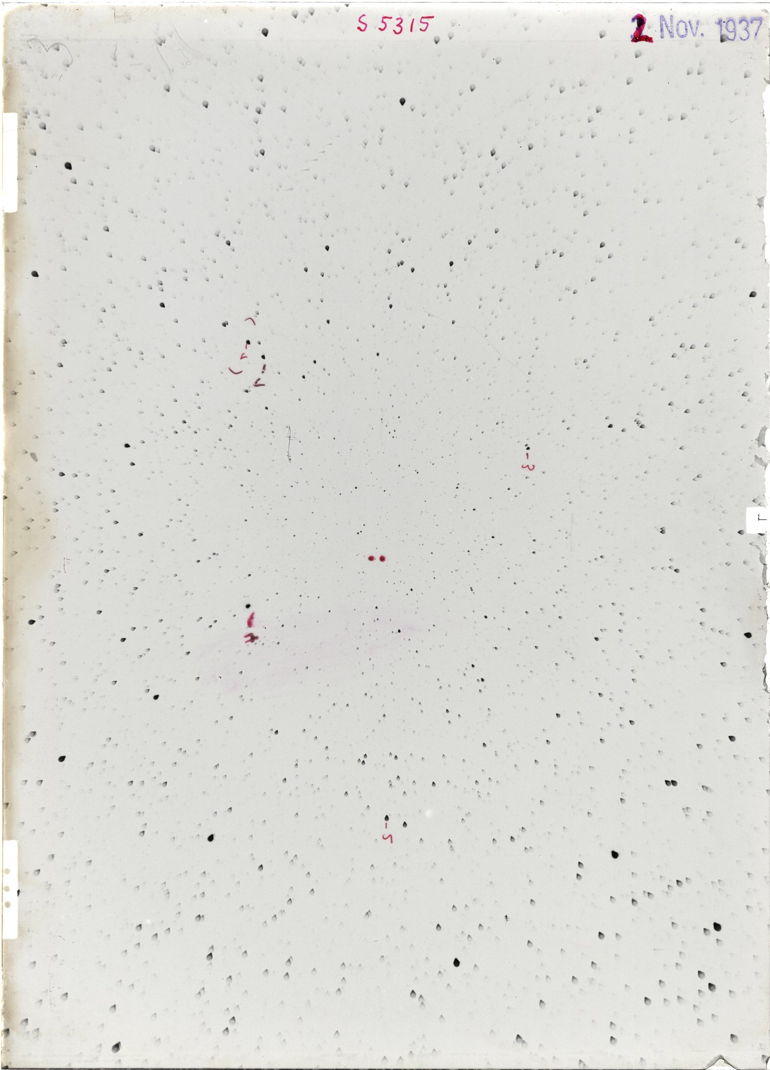 Scan ST05315
