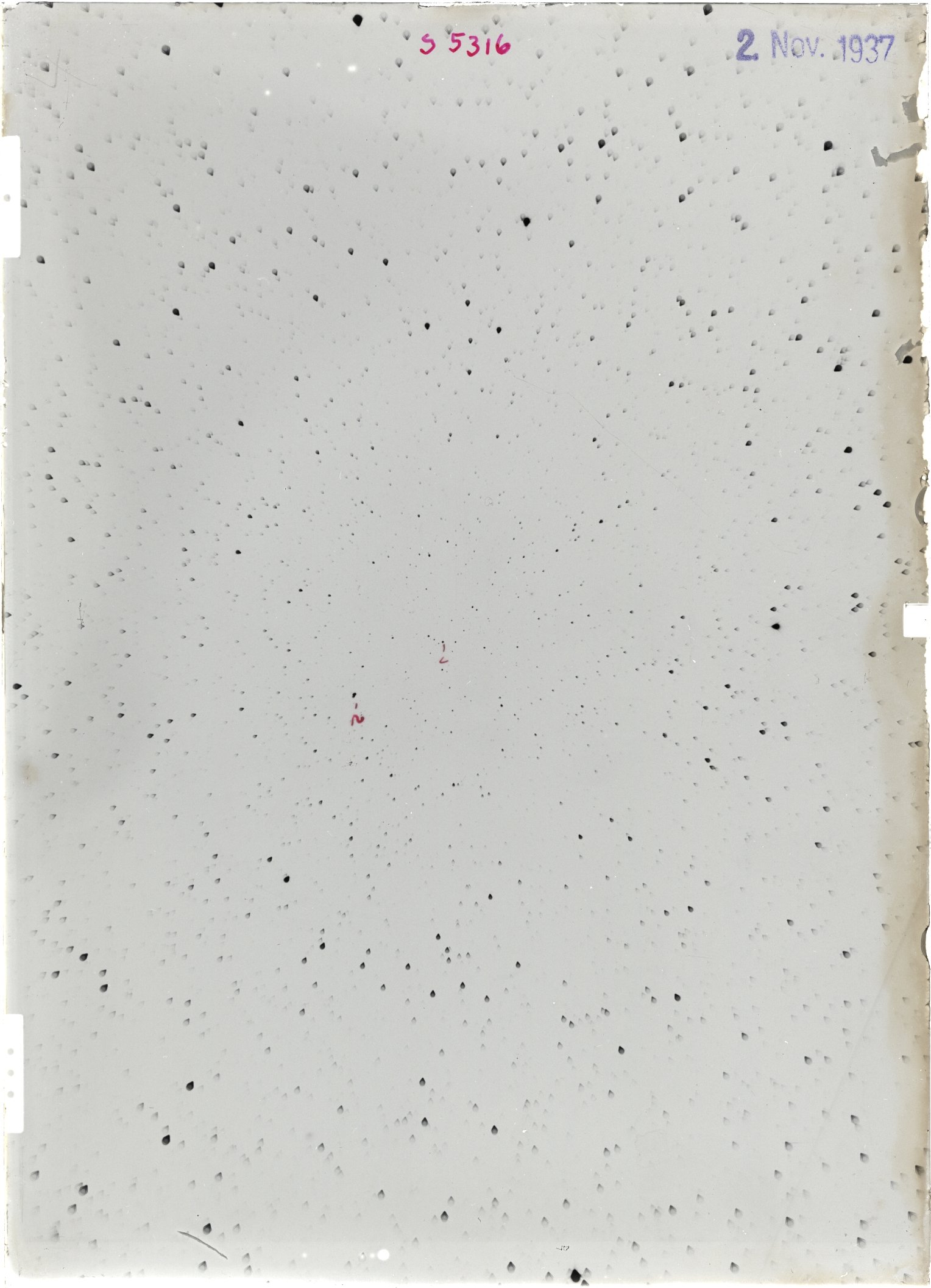 Scan ST05316