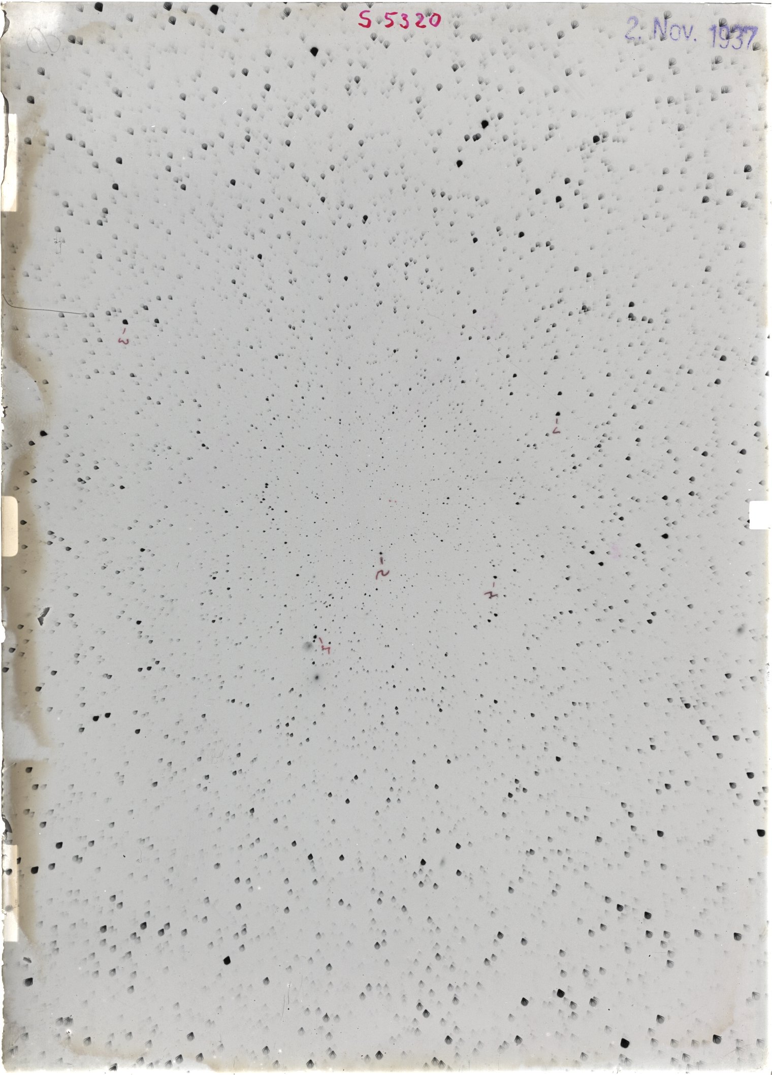 Scan ST05320