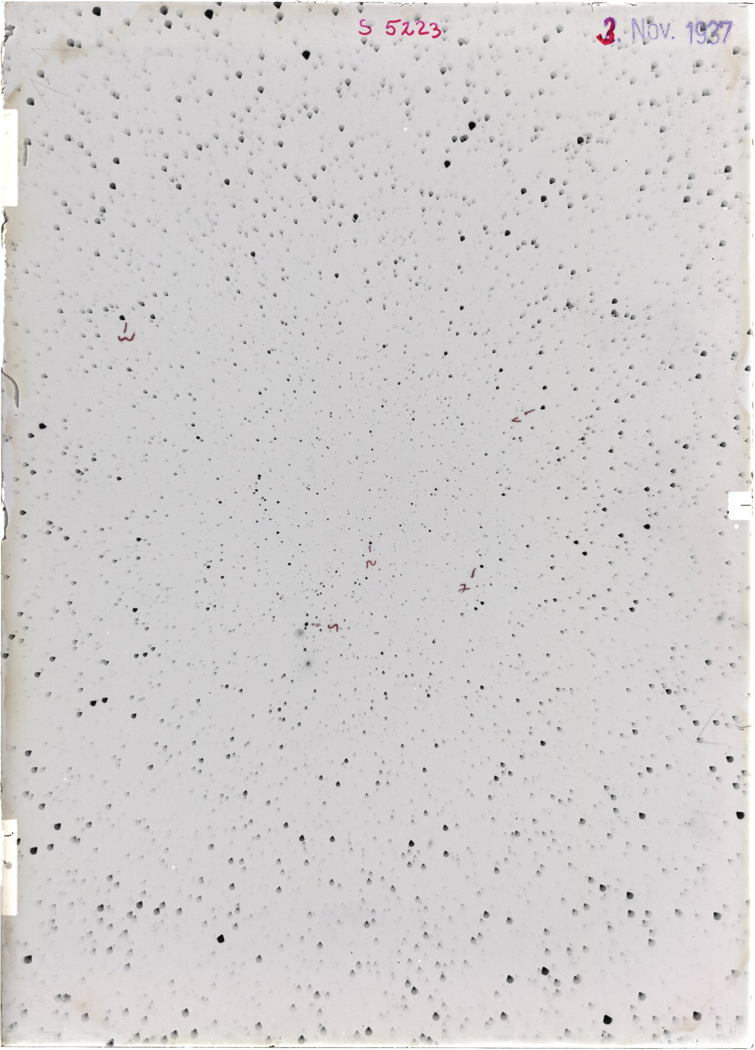 Scan ST05323
