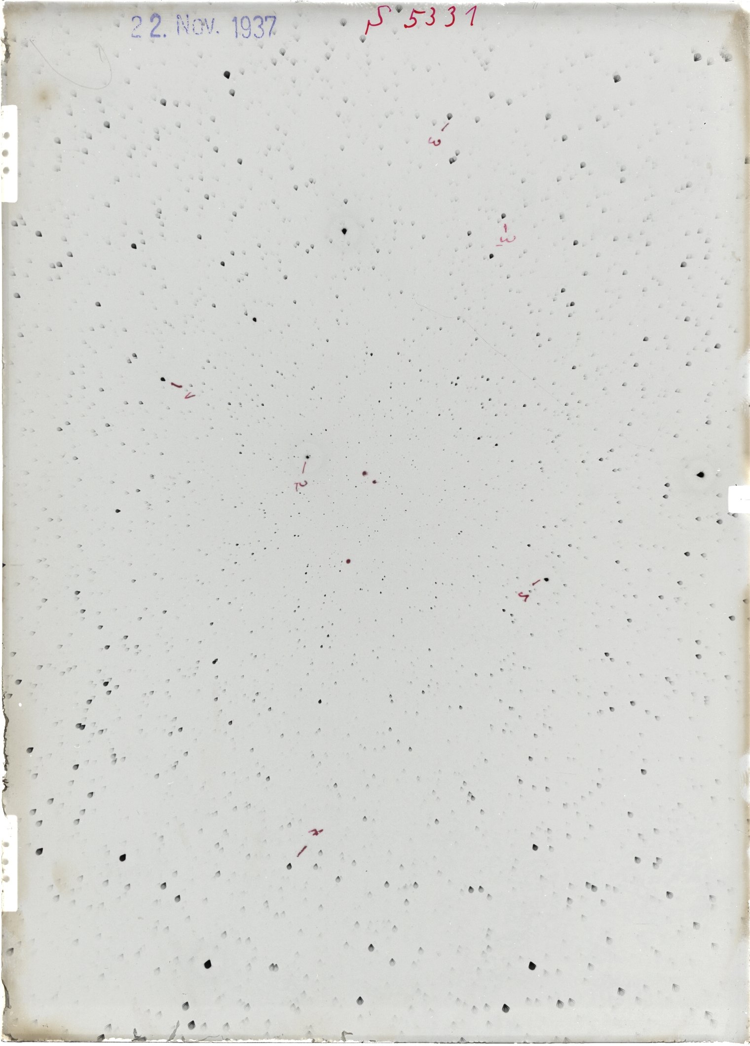 Scan ST05331