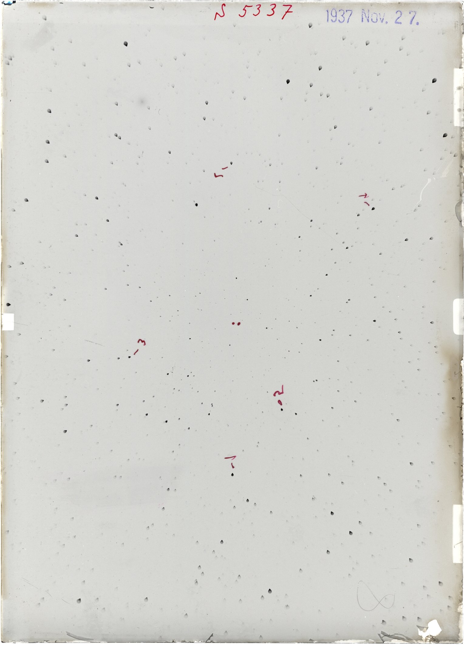 Scan ST05337