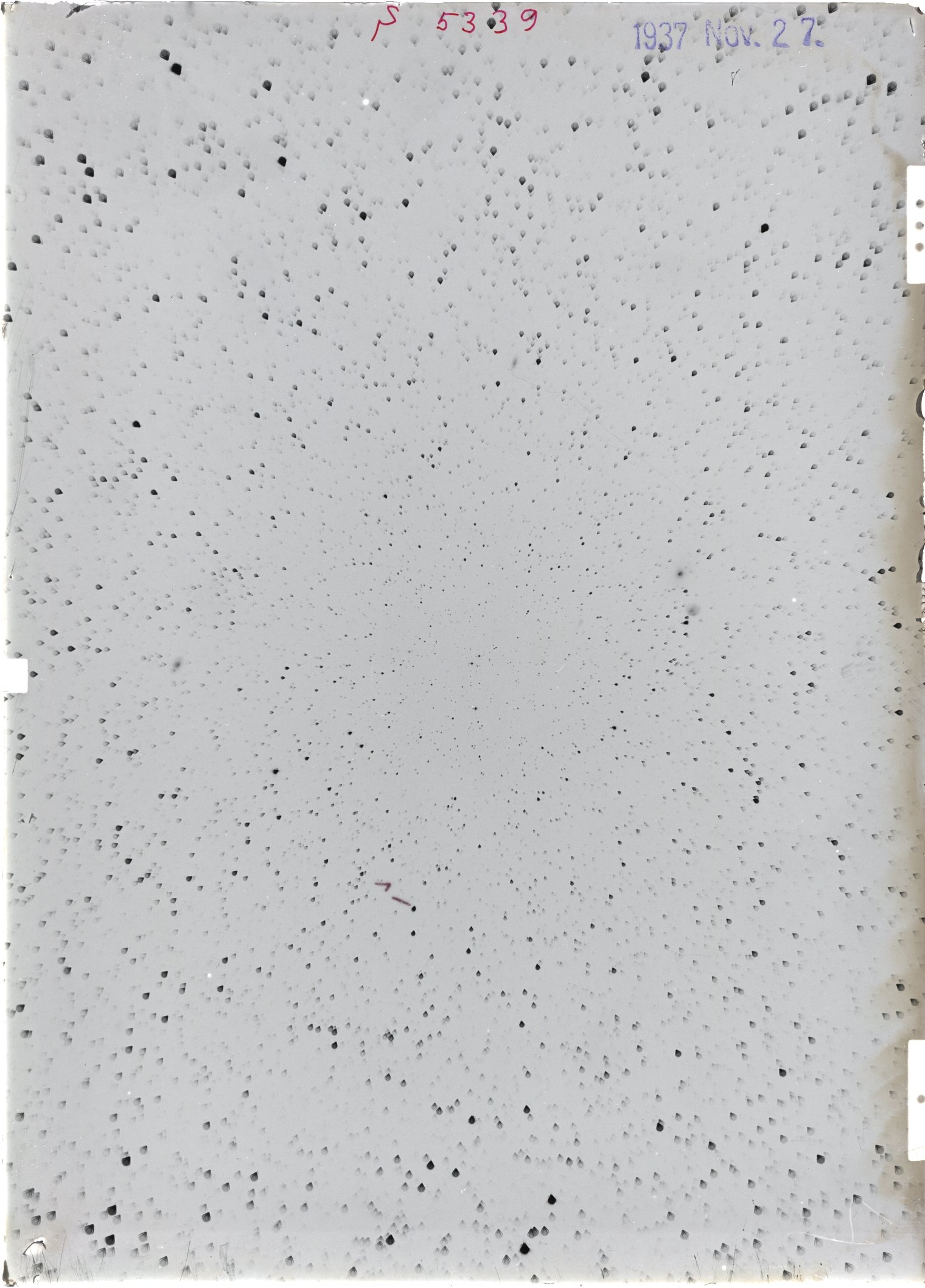 Scan ST05339