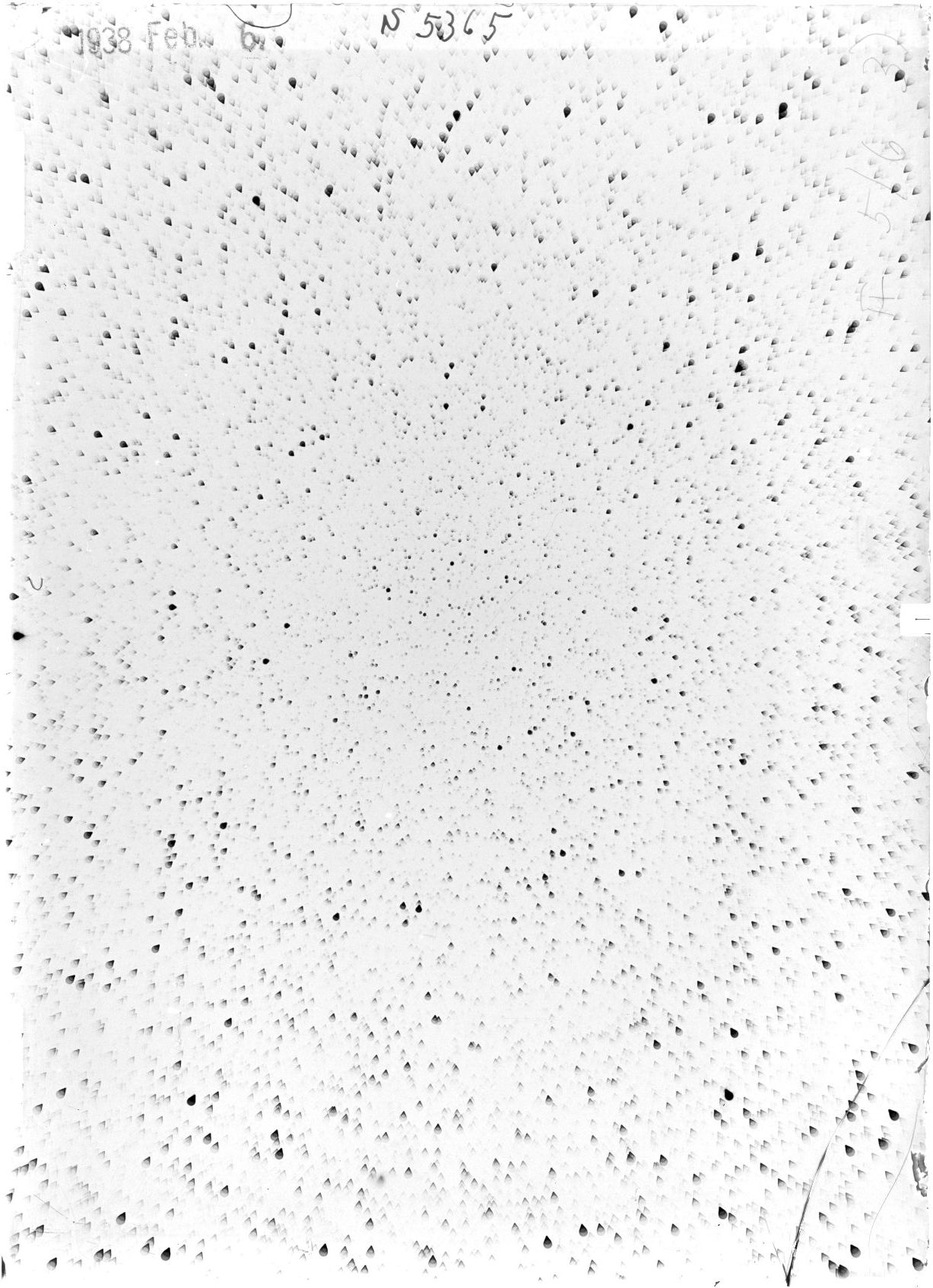 Scan ST05365