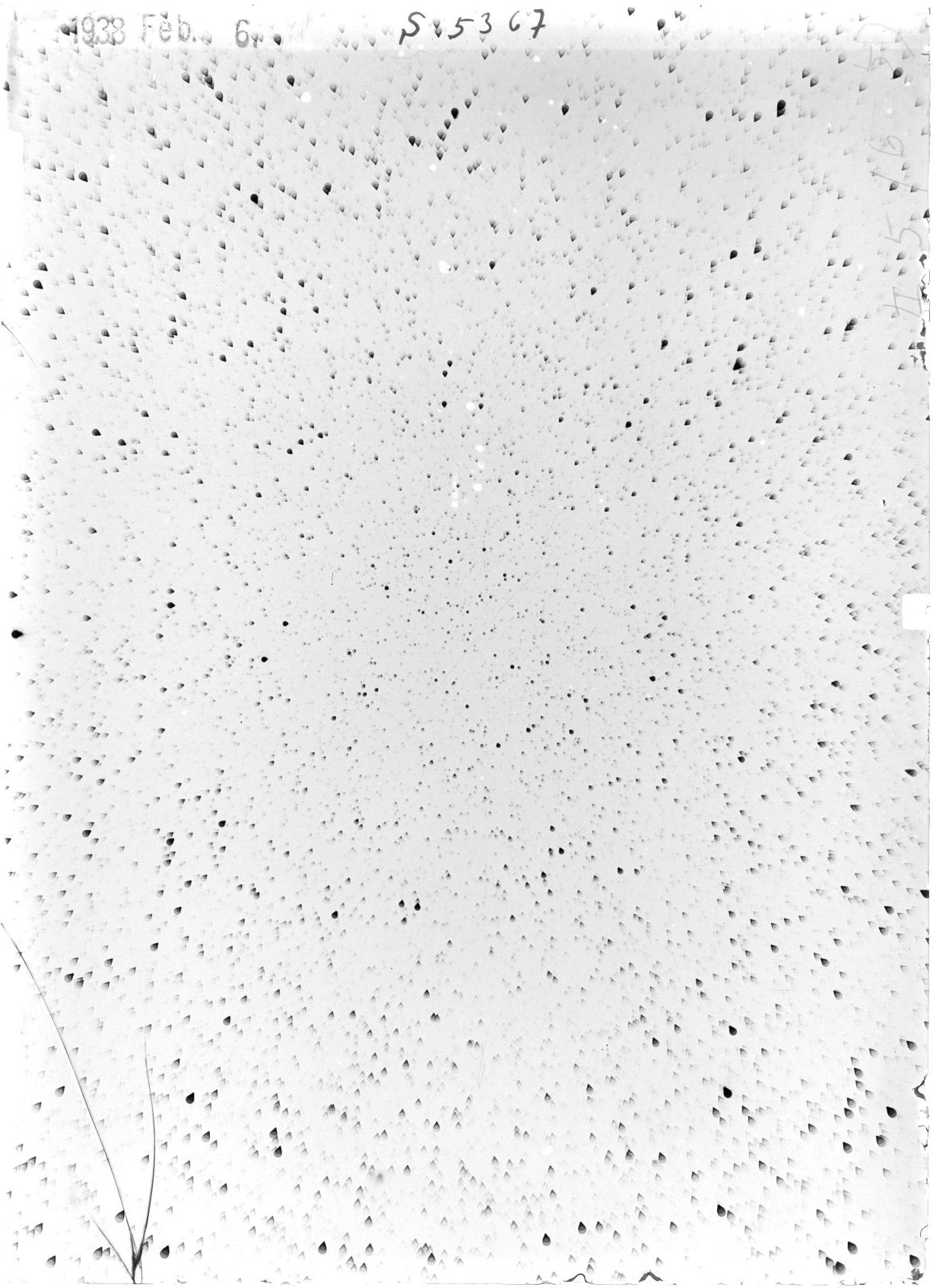 Scan ST05367