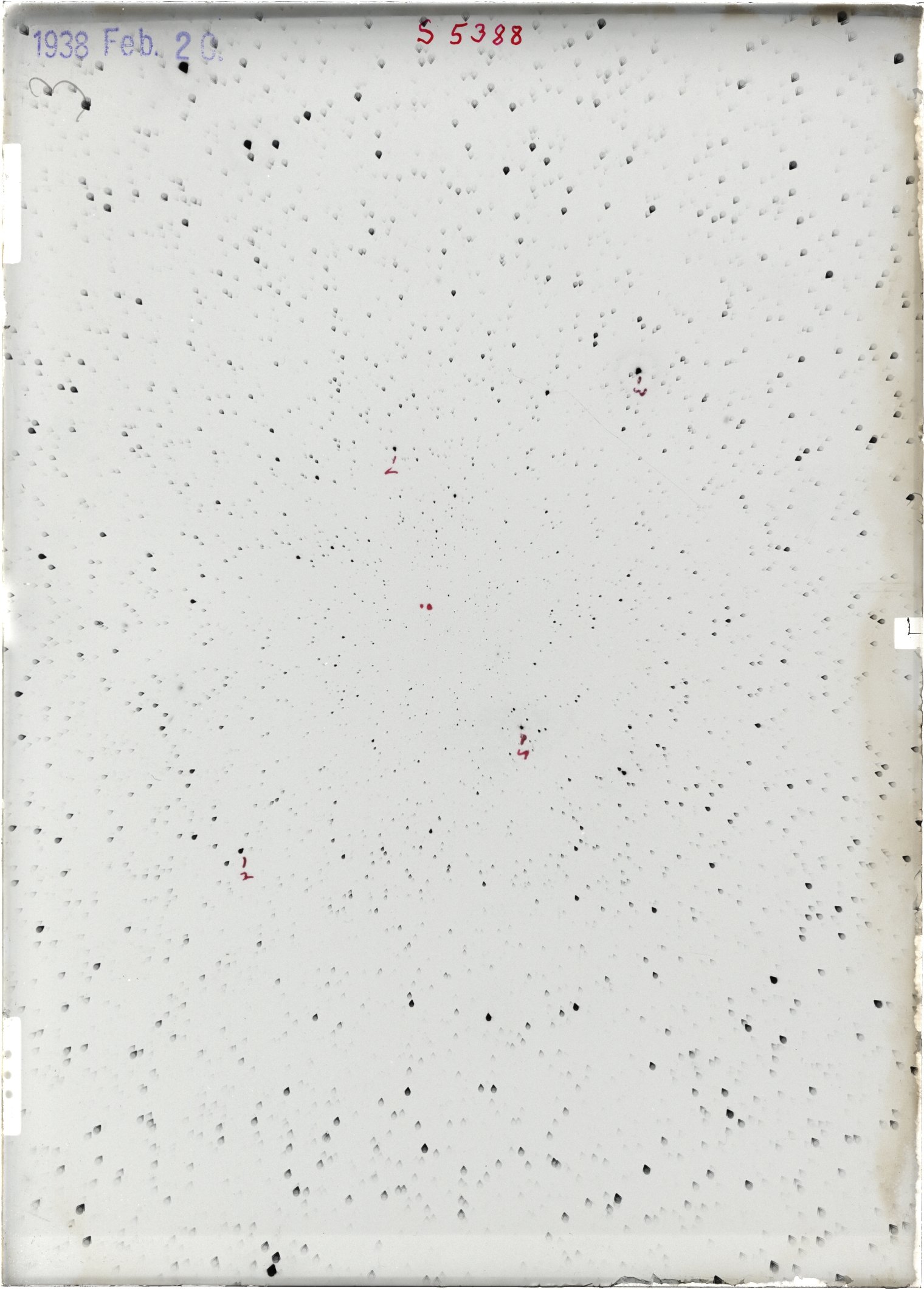 Scan ST05388