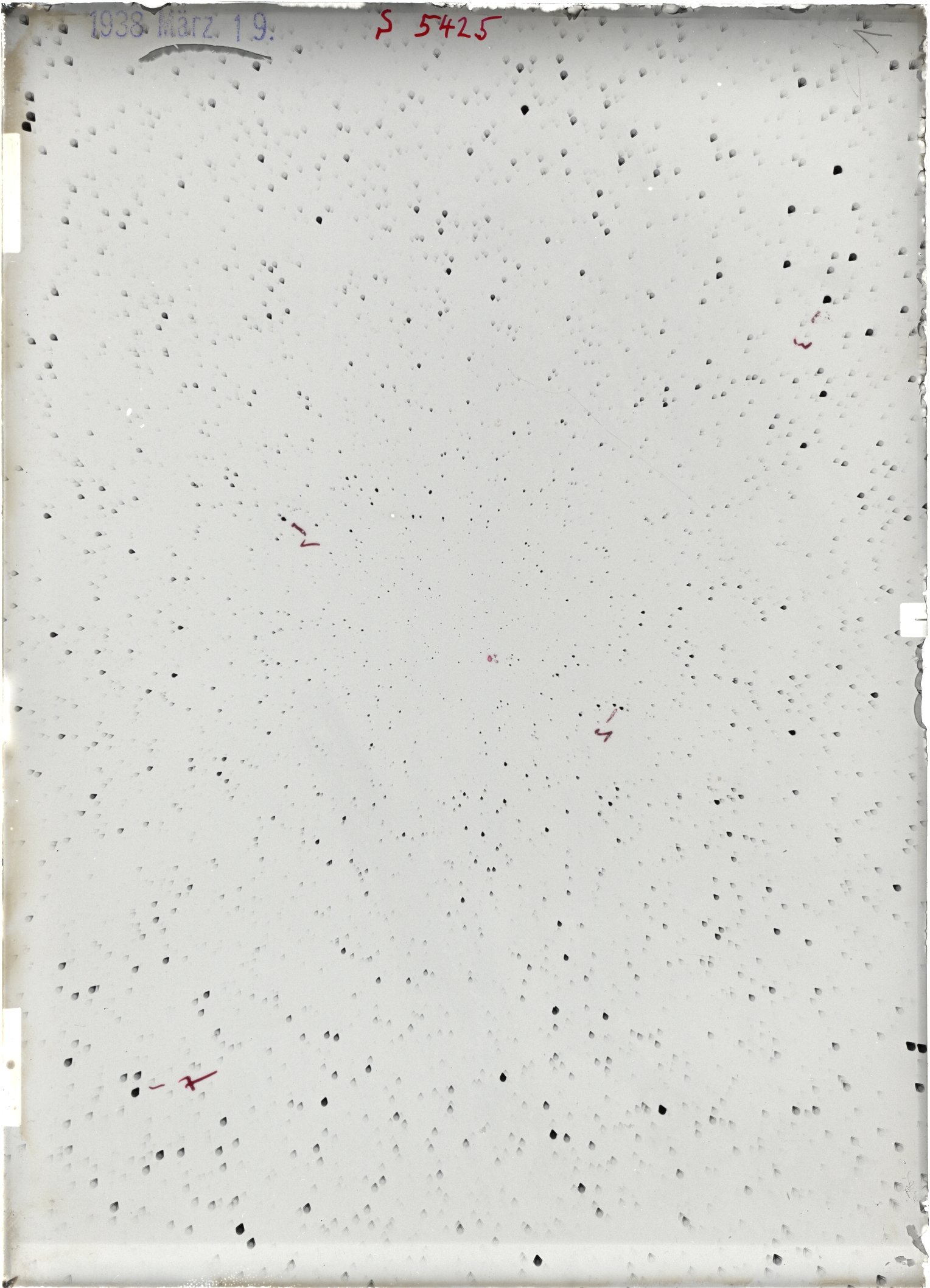 Scan ST05425