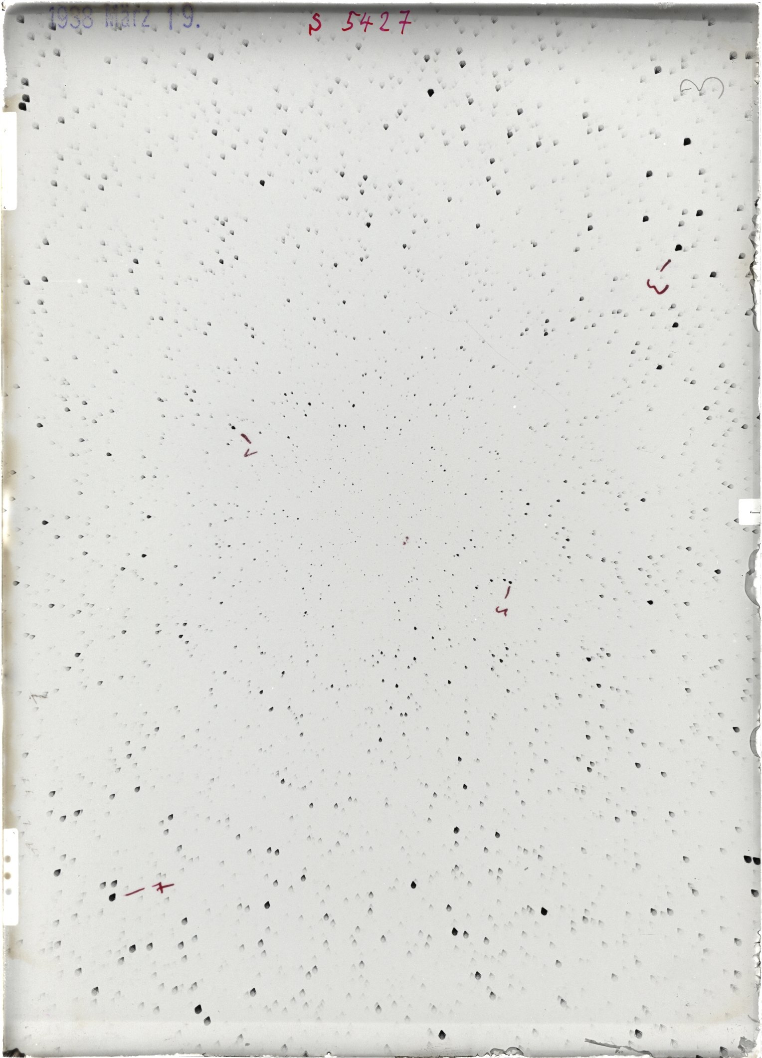 Scan ST05427