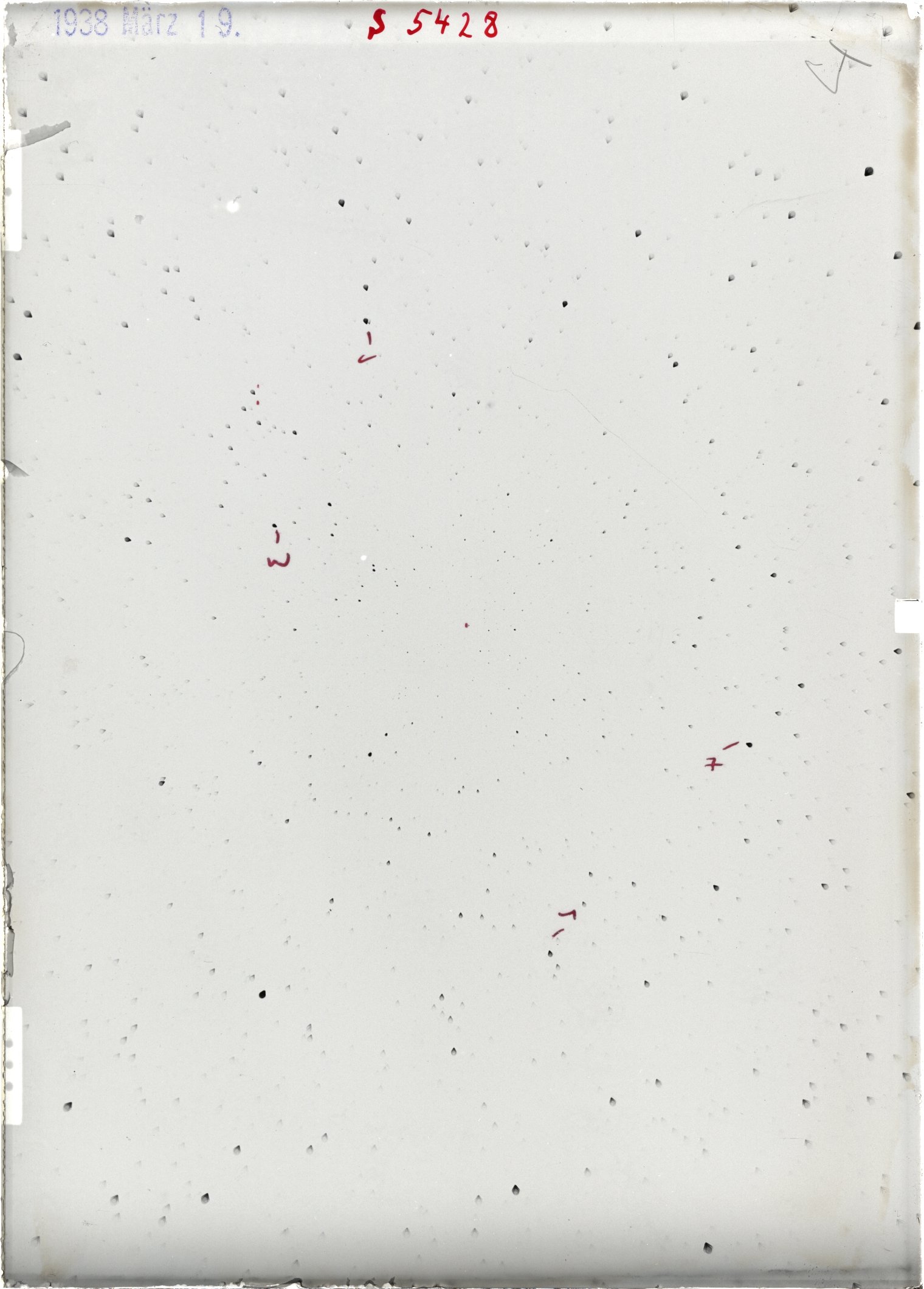 Scan ST05428