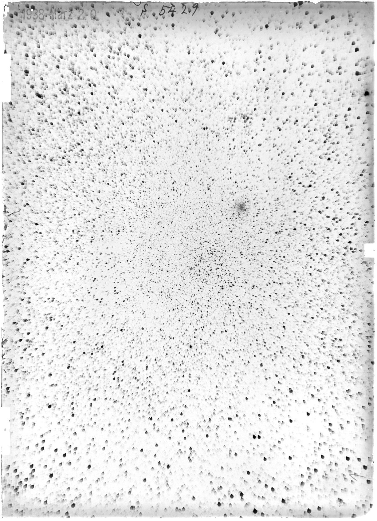 Scan ST05429
