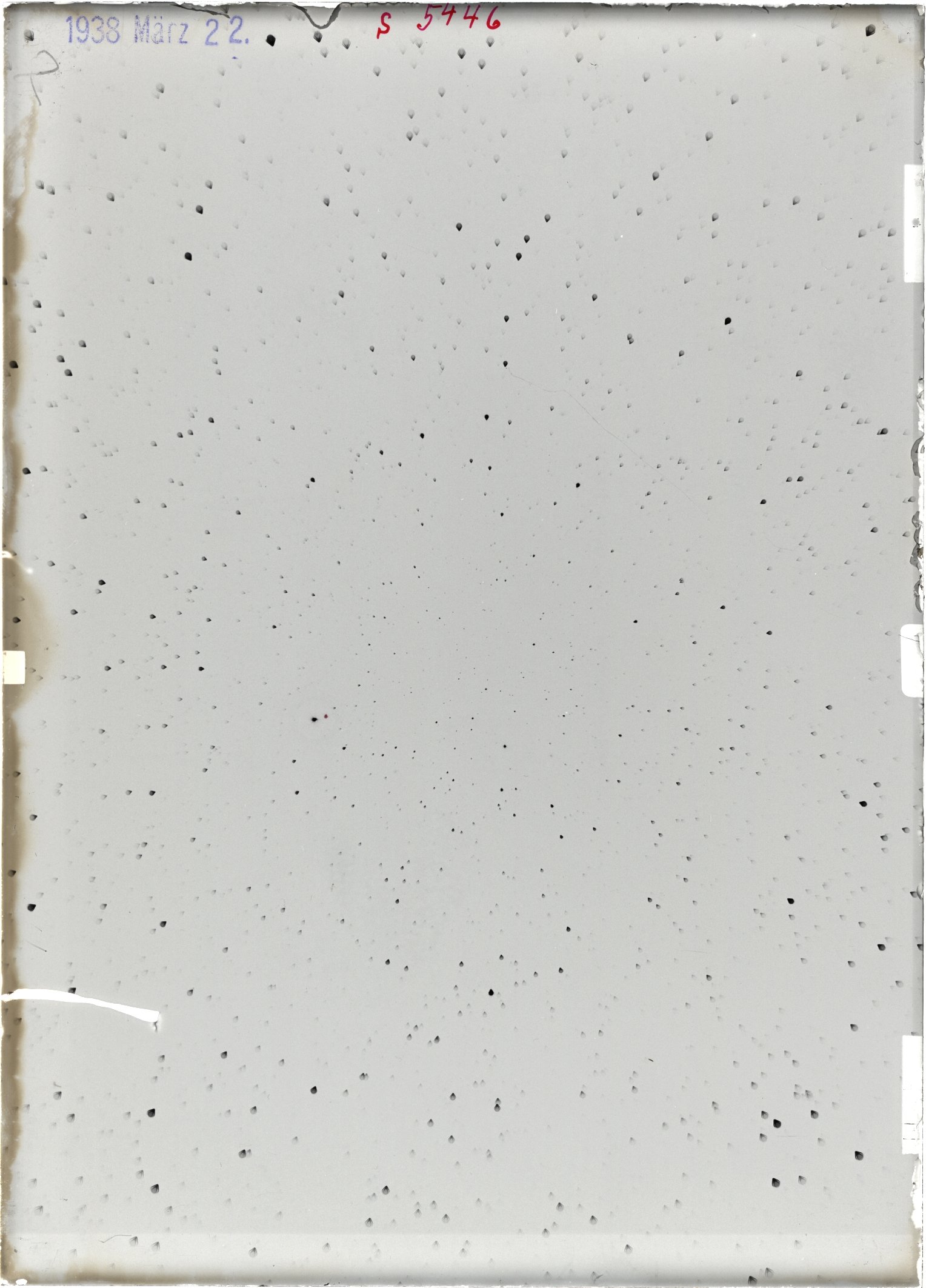 Scan ST05446