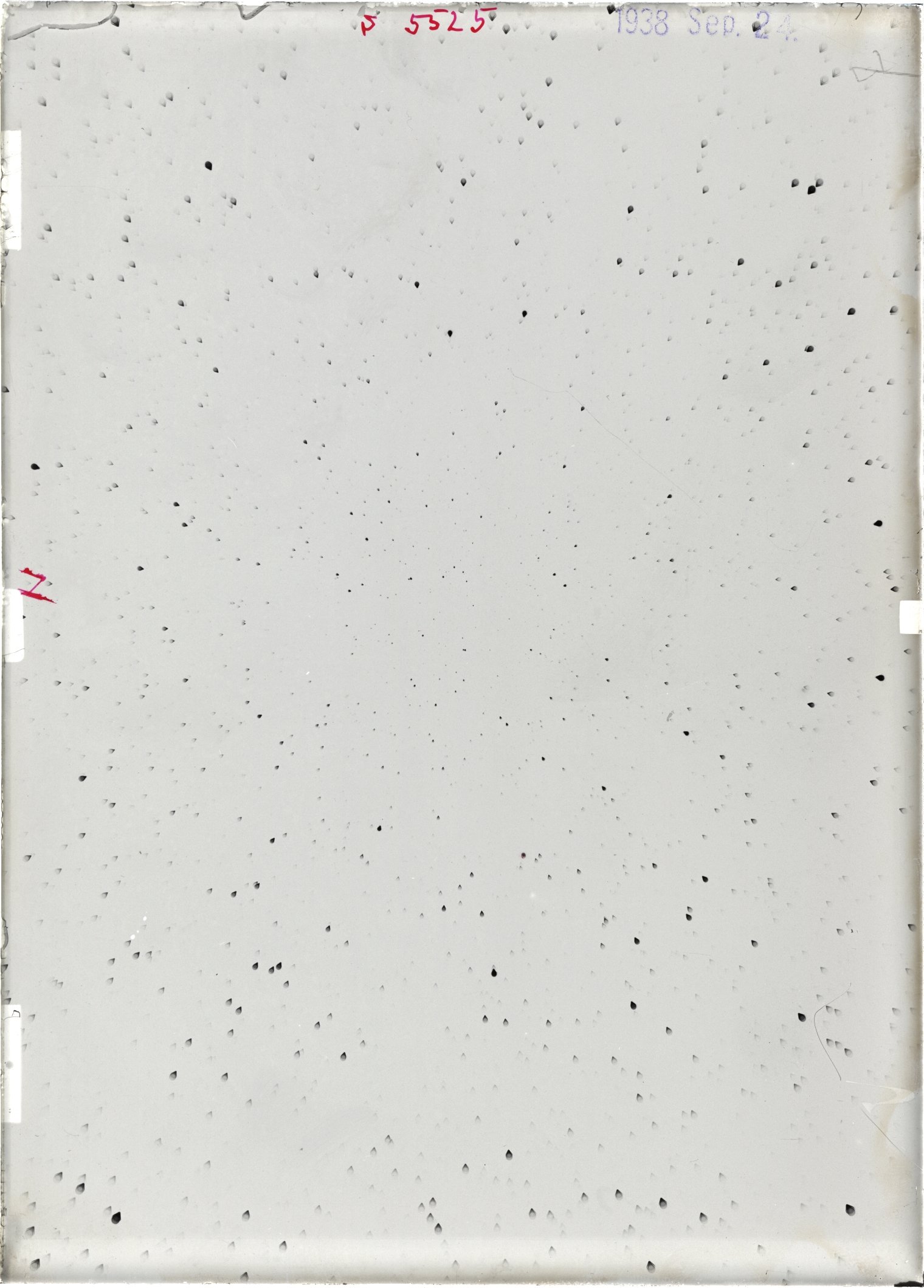 Scan ST05525