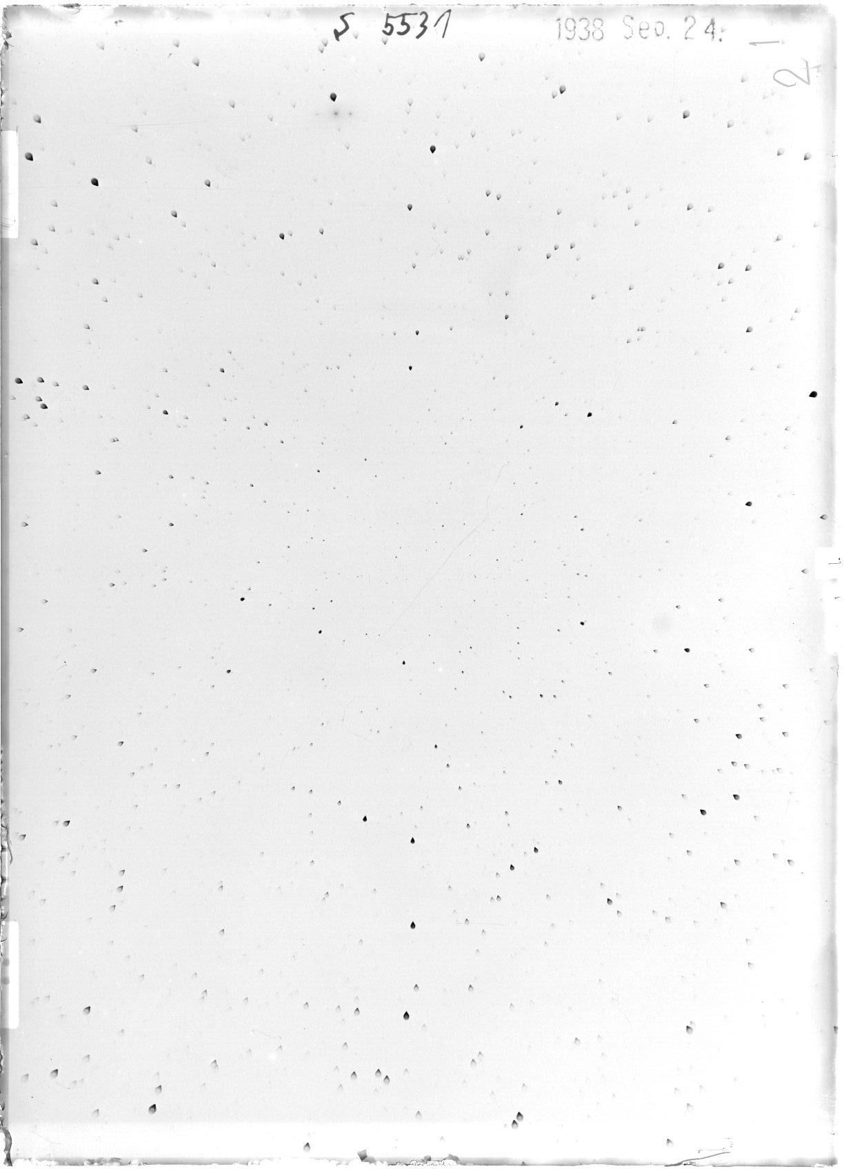 Scan ST05531