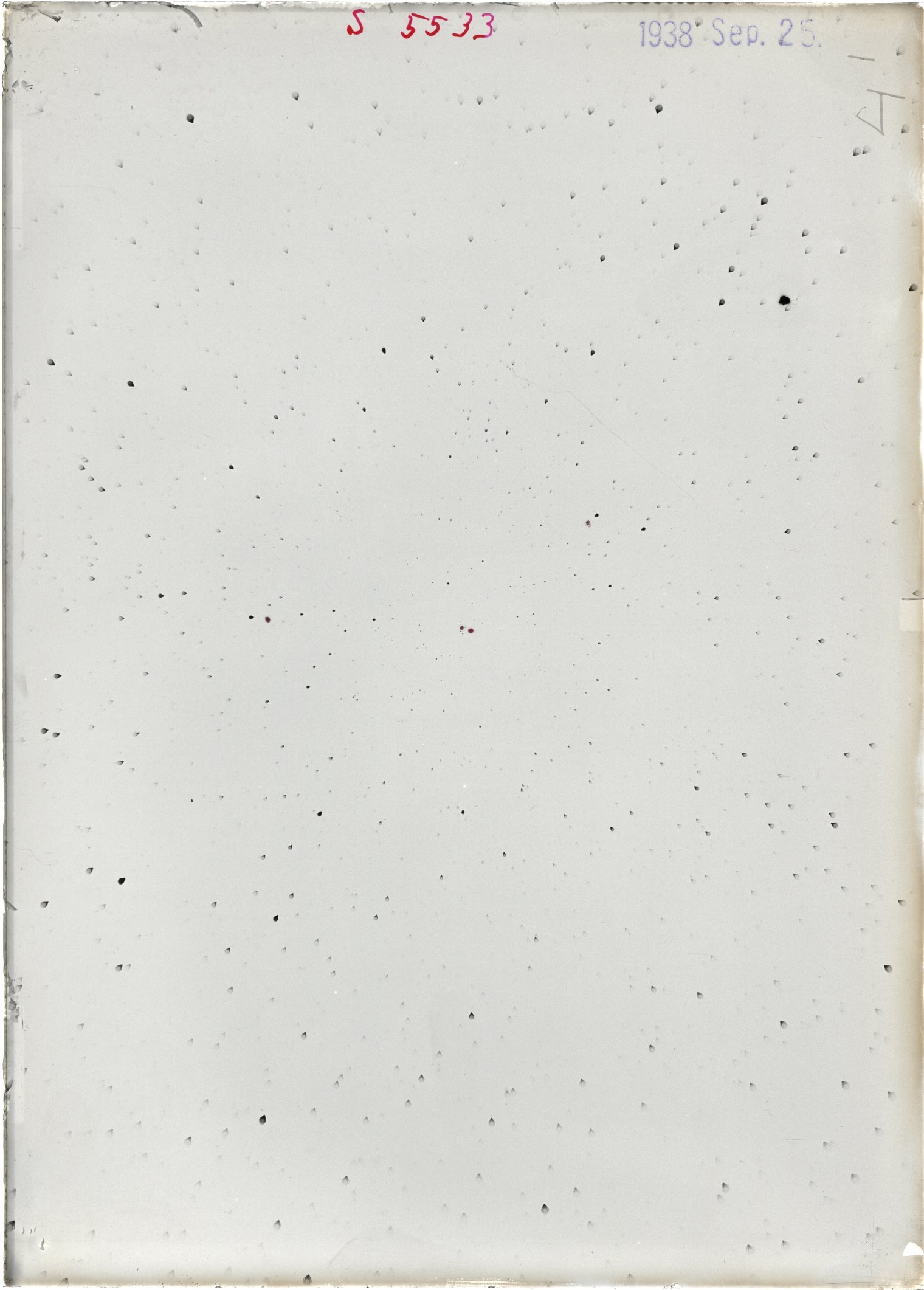 Scan ST05533