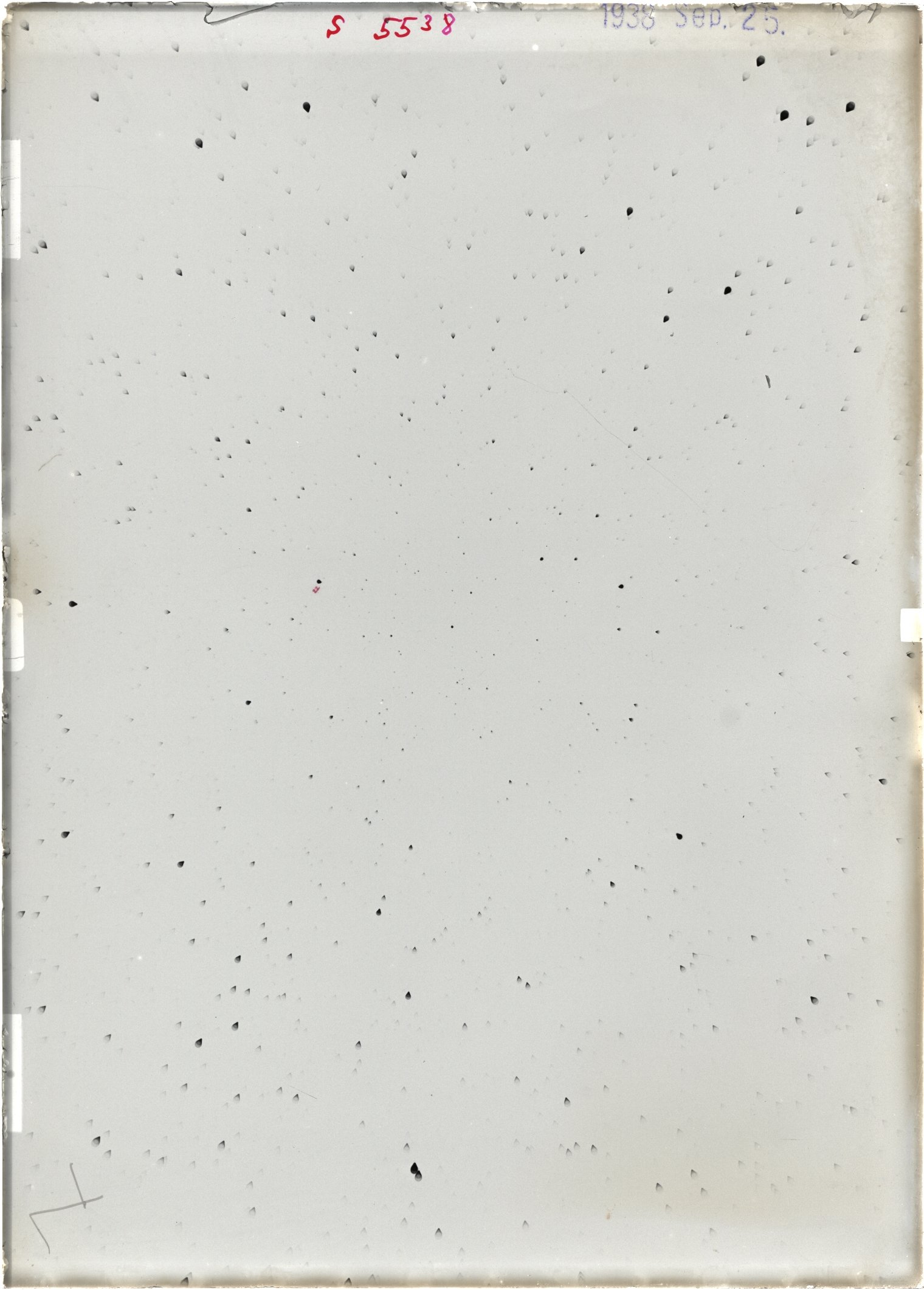 Scan ST05538