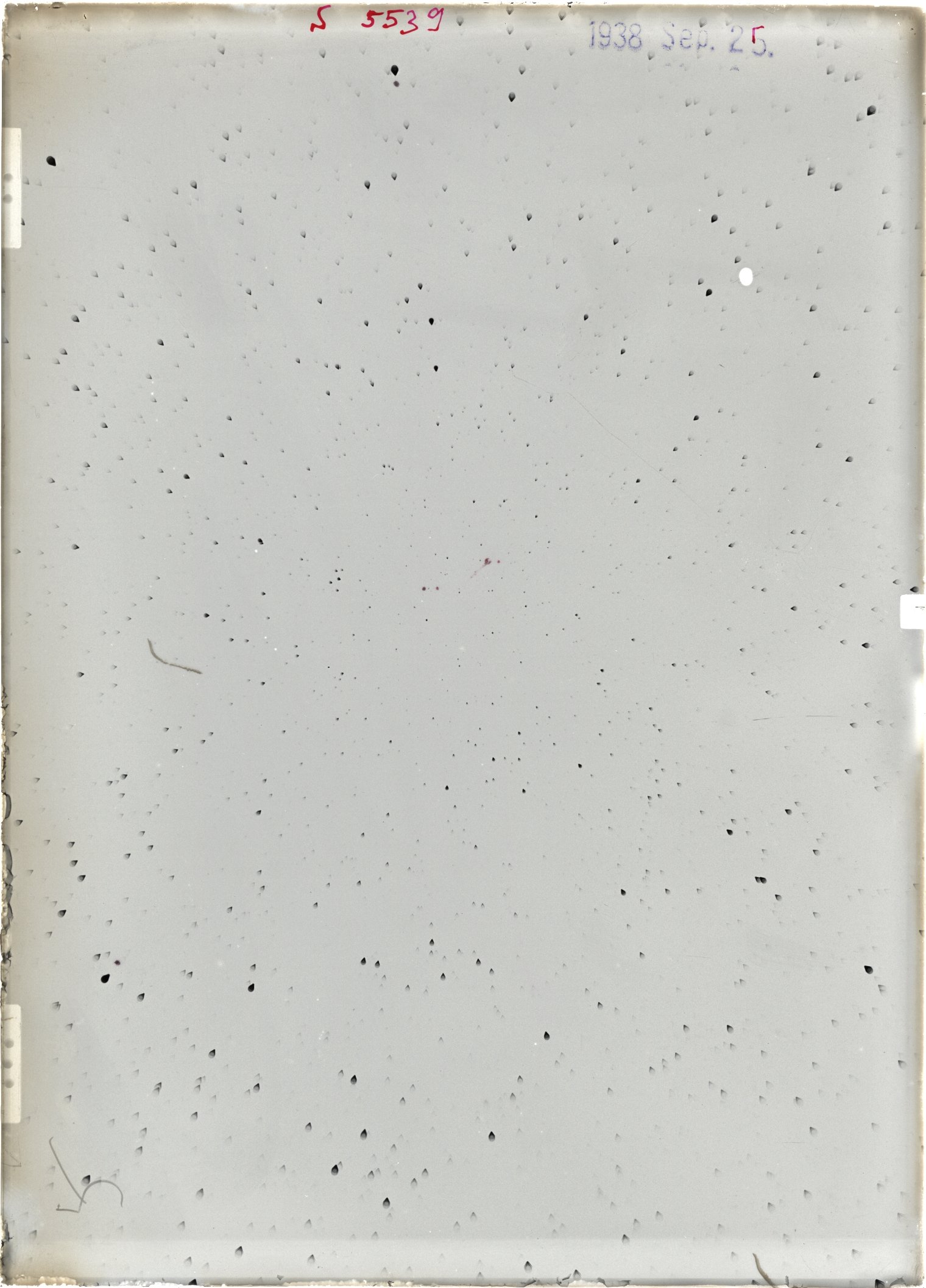 Scan ST05539